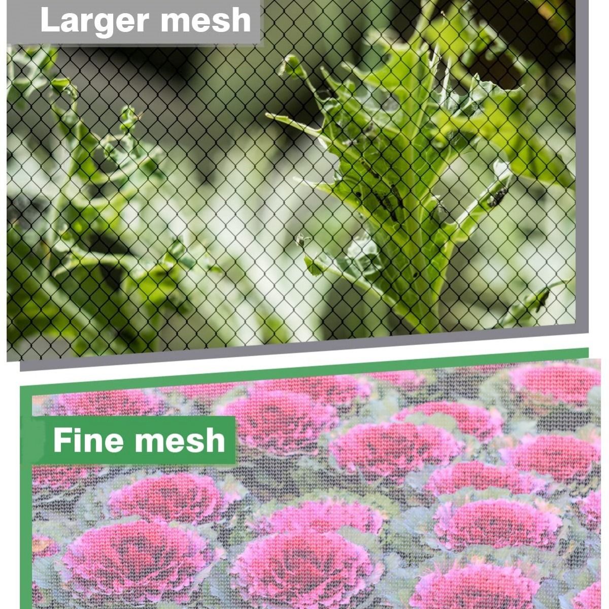 Garden Plant Cover-Bird Barrier Netting view 5