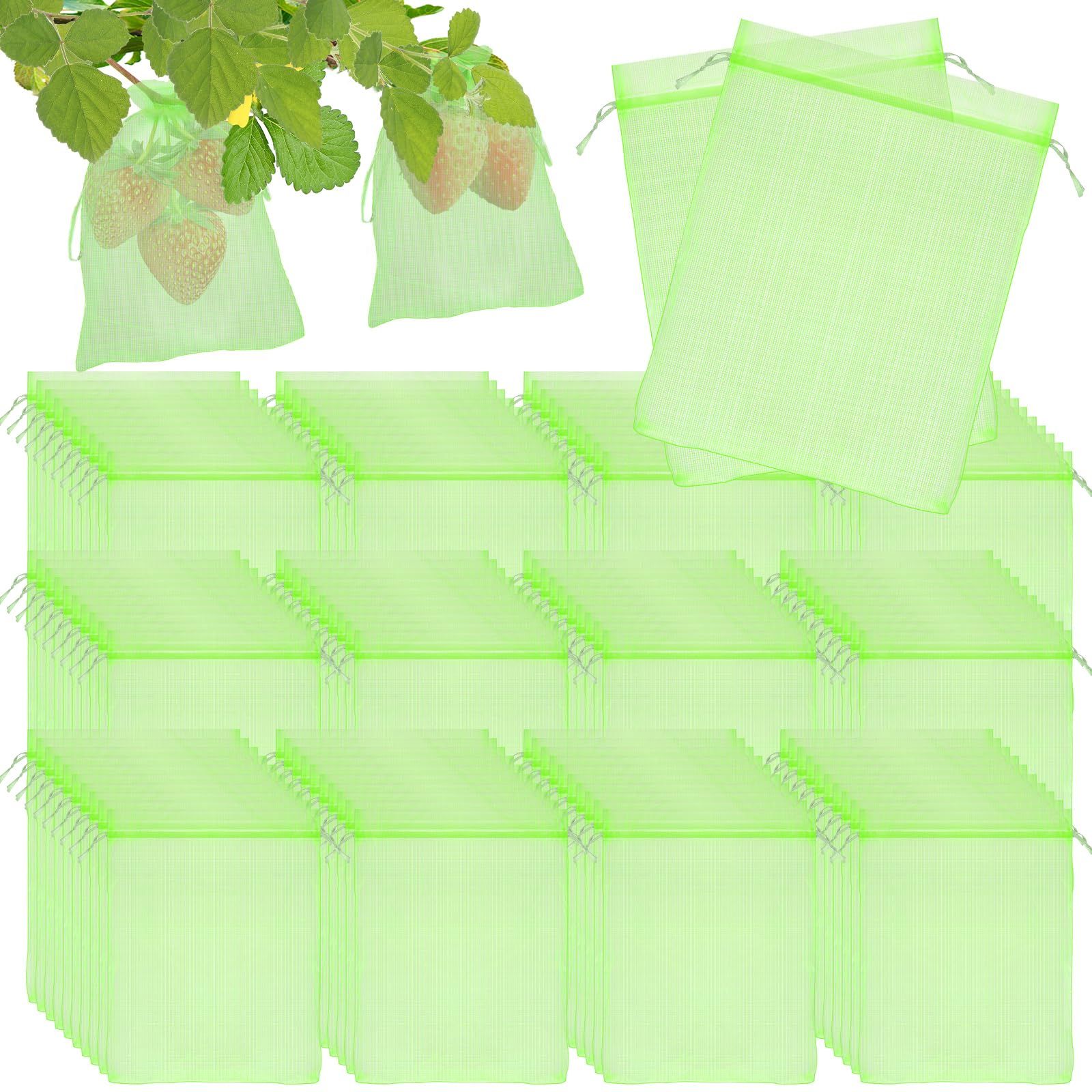 50Pcs 6 x 8 Fruit Protection Bags for Fruit Trees view 2