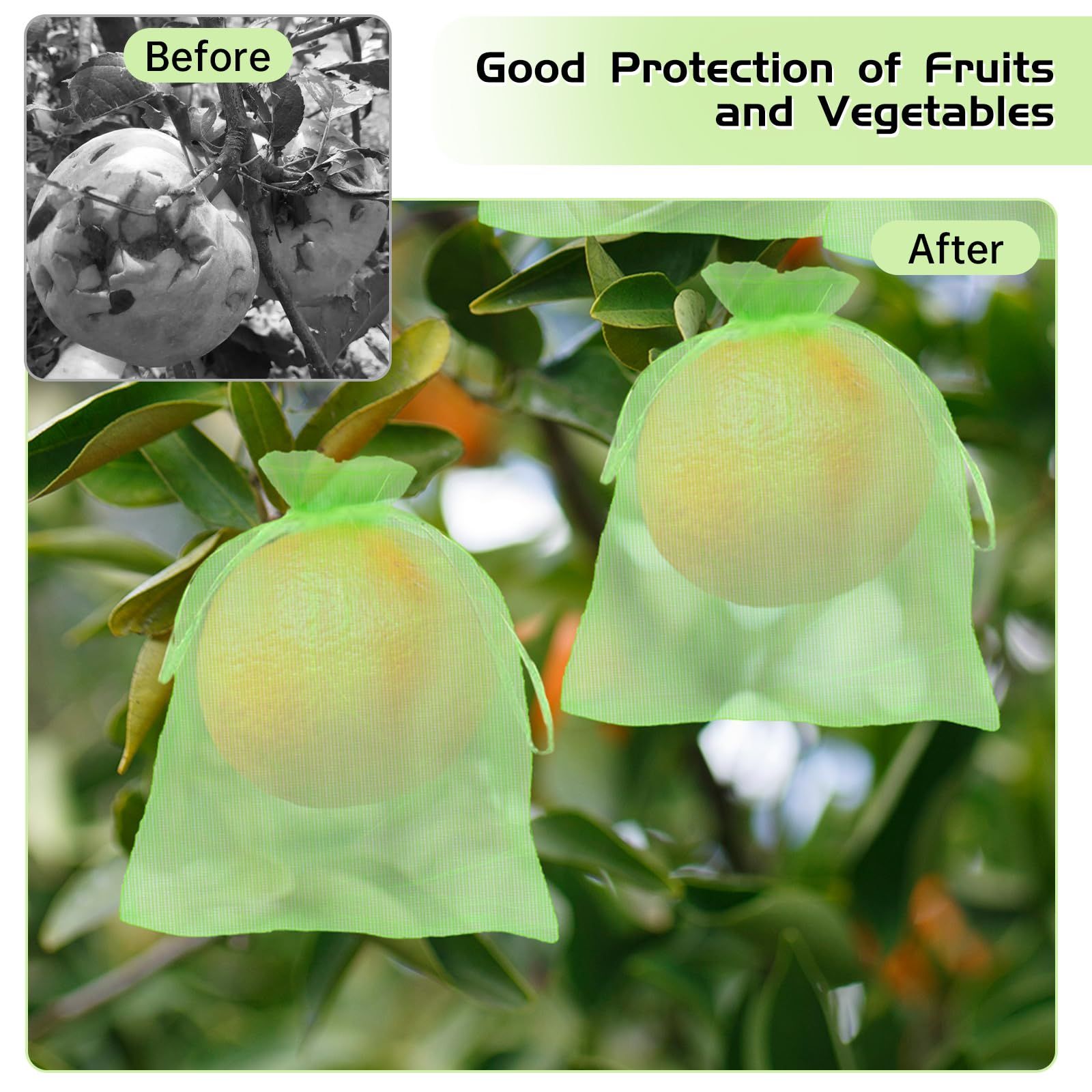 50Pcs 6 x 8 Fruit Protection Bags for Fruit Trees view 3