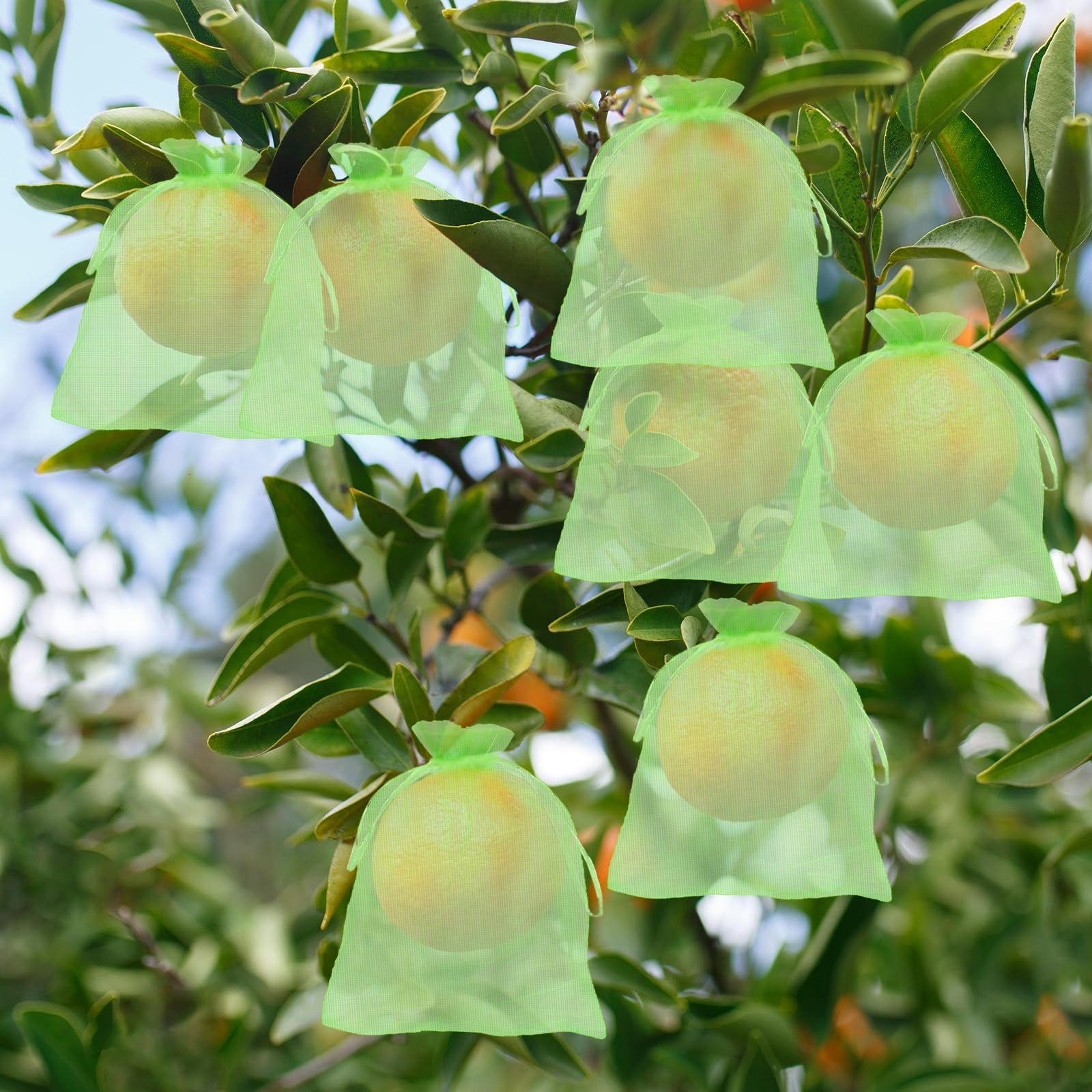 50Pcs 6 x 8 Fruit Protection Bags for Fruit Trees view 4