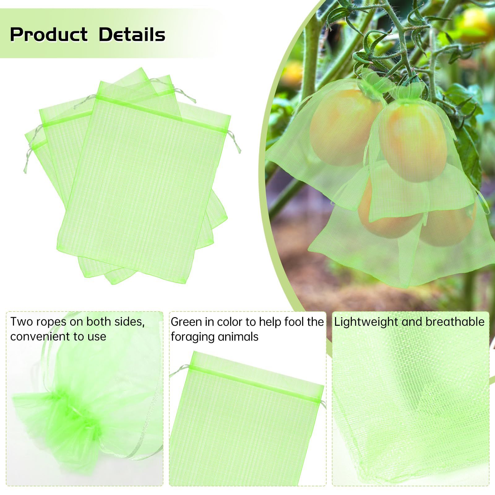 50Pcs 6 x 8 Fruit Protection Bags for Fruit Trees view 5