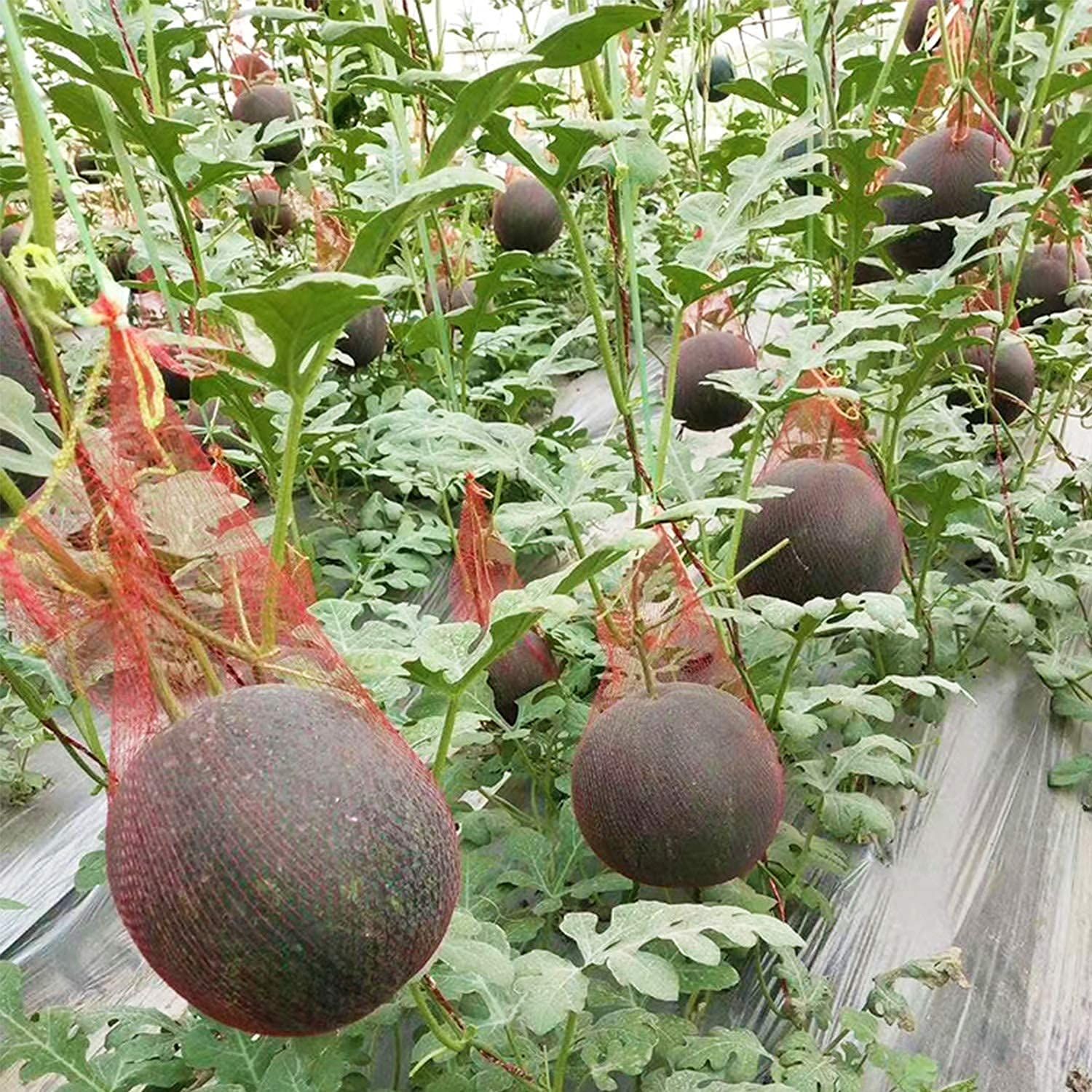 Watermelon Nets - 100 Pack Hanging Watermelon Nets Bags Melon Hammocks Cradles view 2