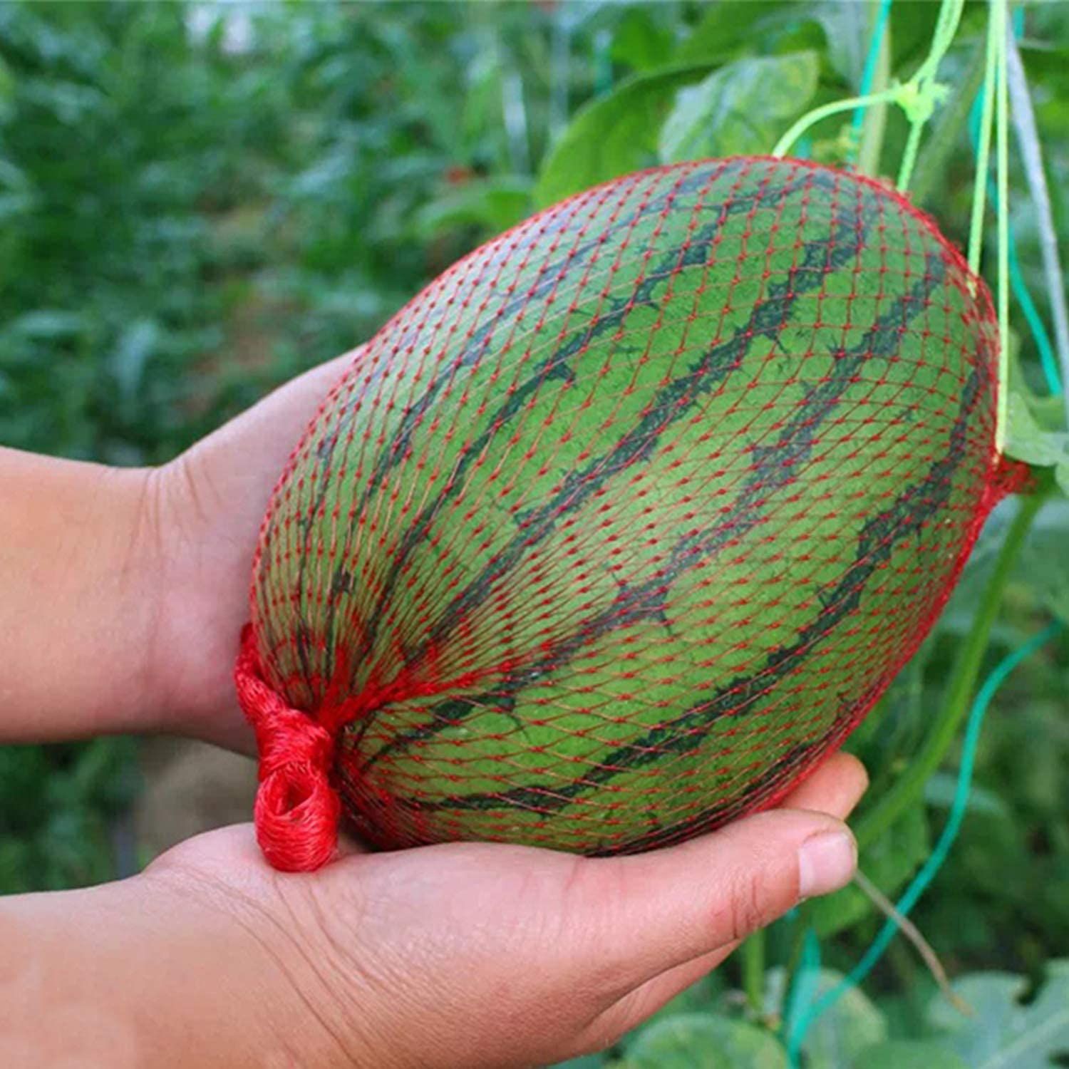 Watermelon Nets - 100 Pack Hanging Watermelon Nets Bags Melon Hammocks Cradles view 4