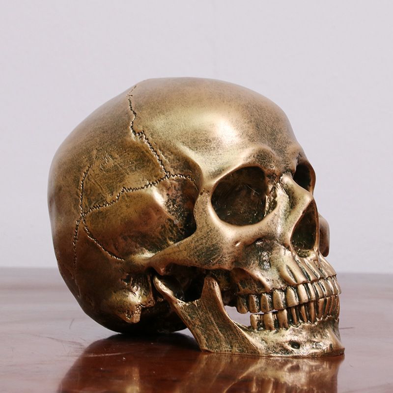 1:1 Resin Human Skull Model Halloween Props Home Decorations High Fidelity view 2