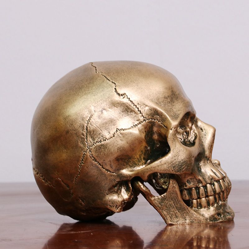 1:1 Resin Human Skull Model Halloween Props Home Decorations High Fidelity view 3