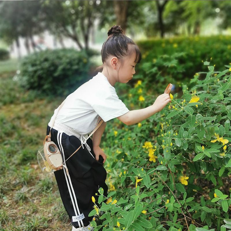Bug Catcher Nature Exploration Set - Includes Habitat Bucket