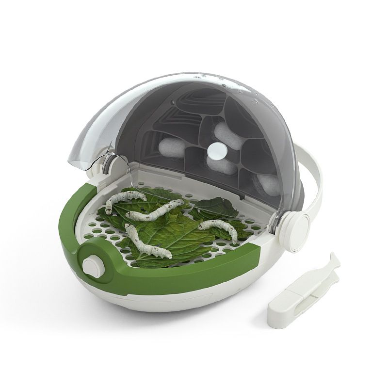 Portable Silkworm Transport Container Kids Outdoor Toys Reptile Feeding Box