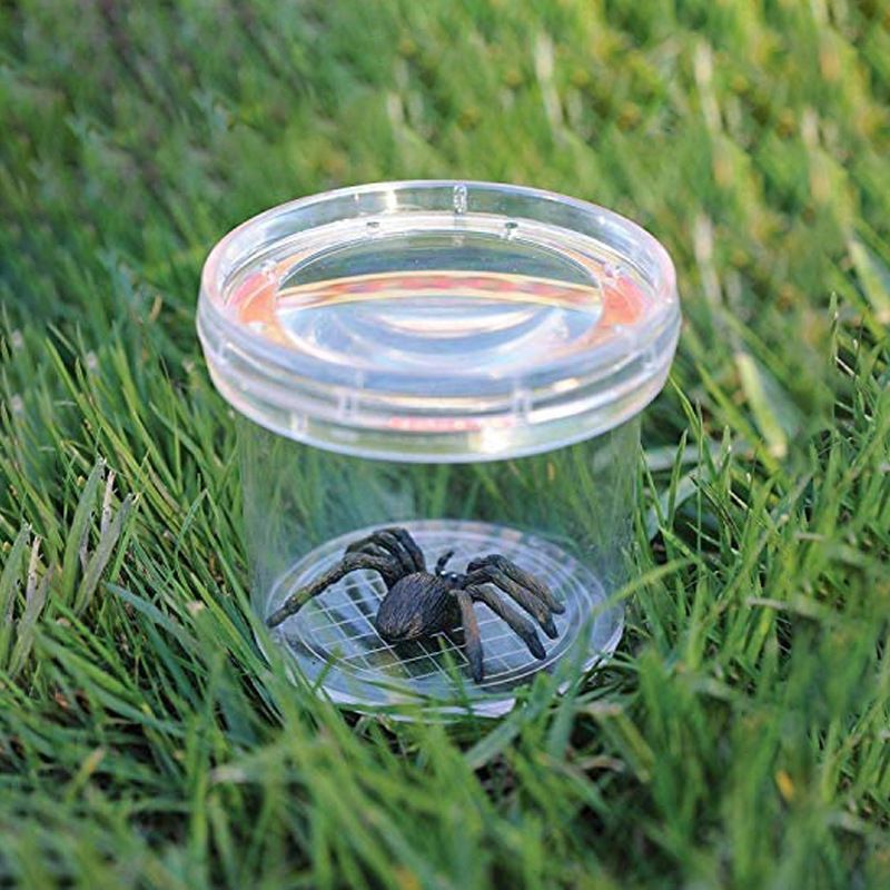 Insect Plastic Insects Box Transparent Magnifying Breathable Insect Collecting view 2