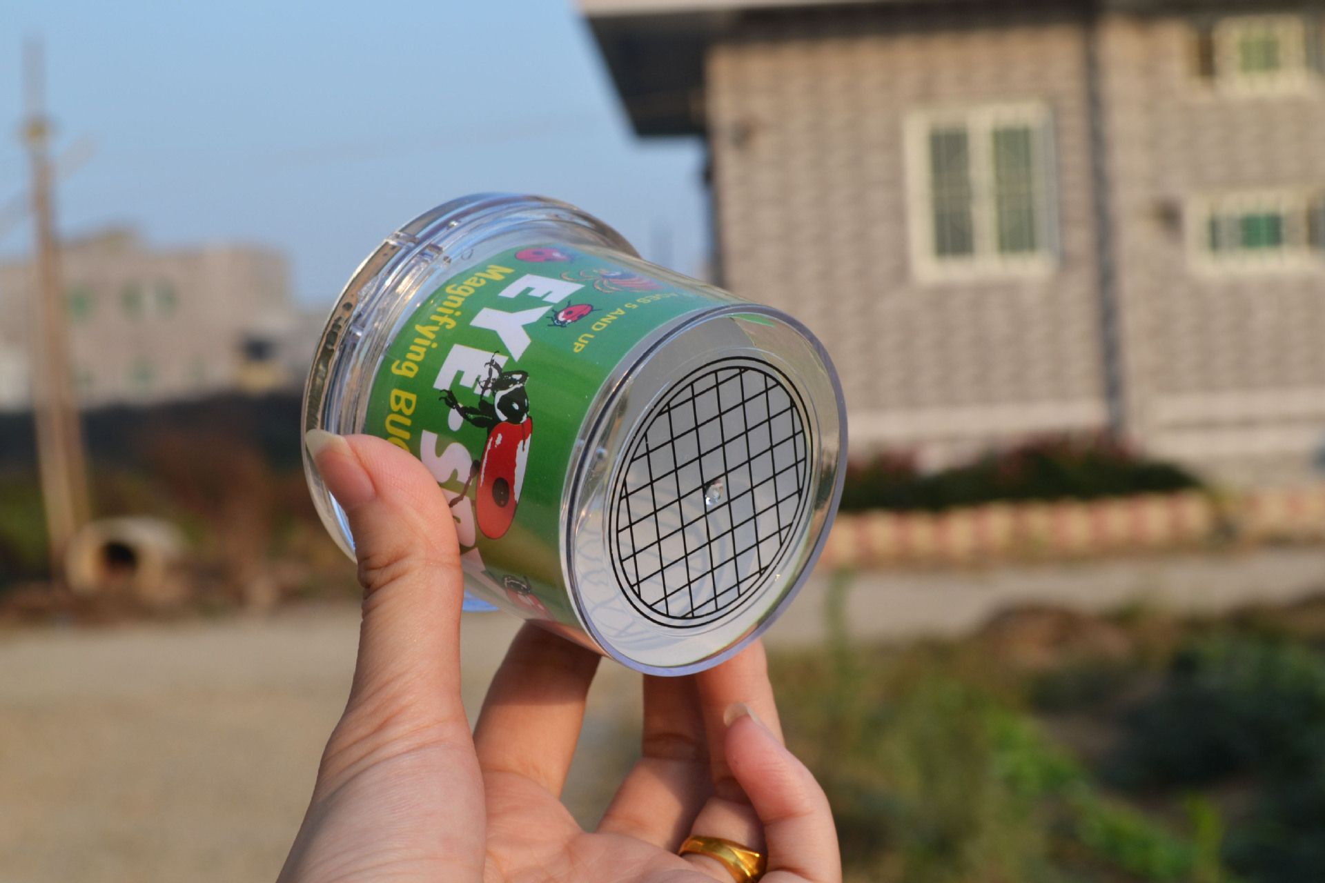 Insect Plastic Insects Box Transparent Magnifying Breathable Insect Collecting view 4