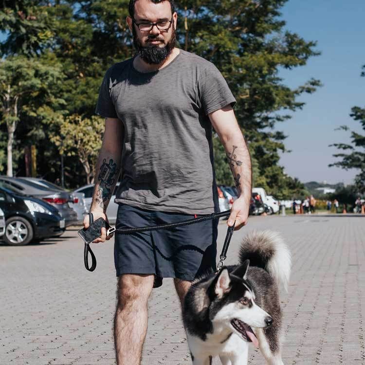 Reflective Dog Leash for Medium view 5