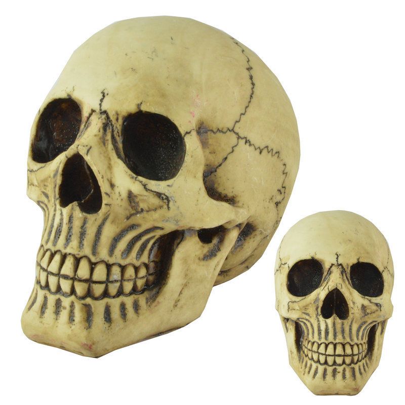 Resin Skull Head Model Simulation Skeleton Head Medical Skull Art Copy for