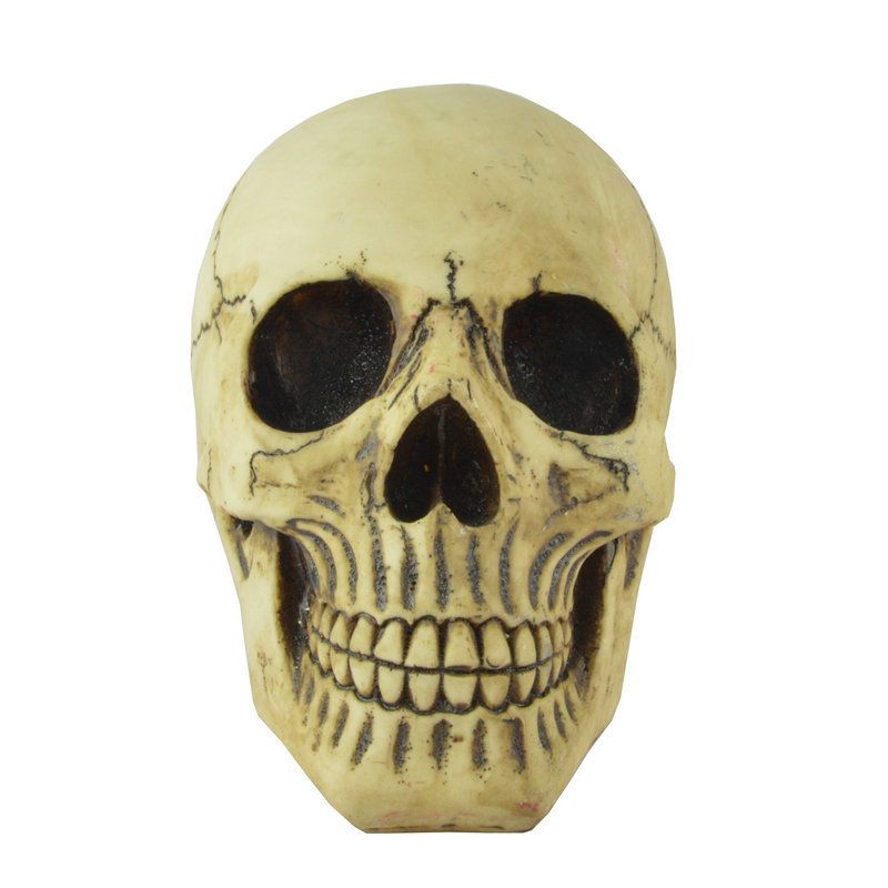 Resin Skull Head Model Simulation Skeleton Head Medical Skull Art Copy for view 5