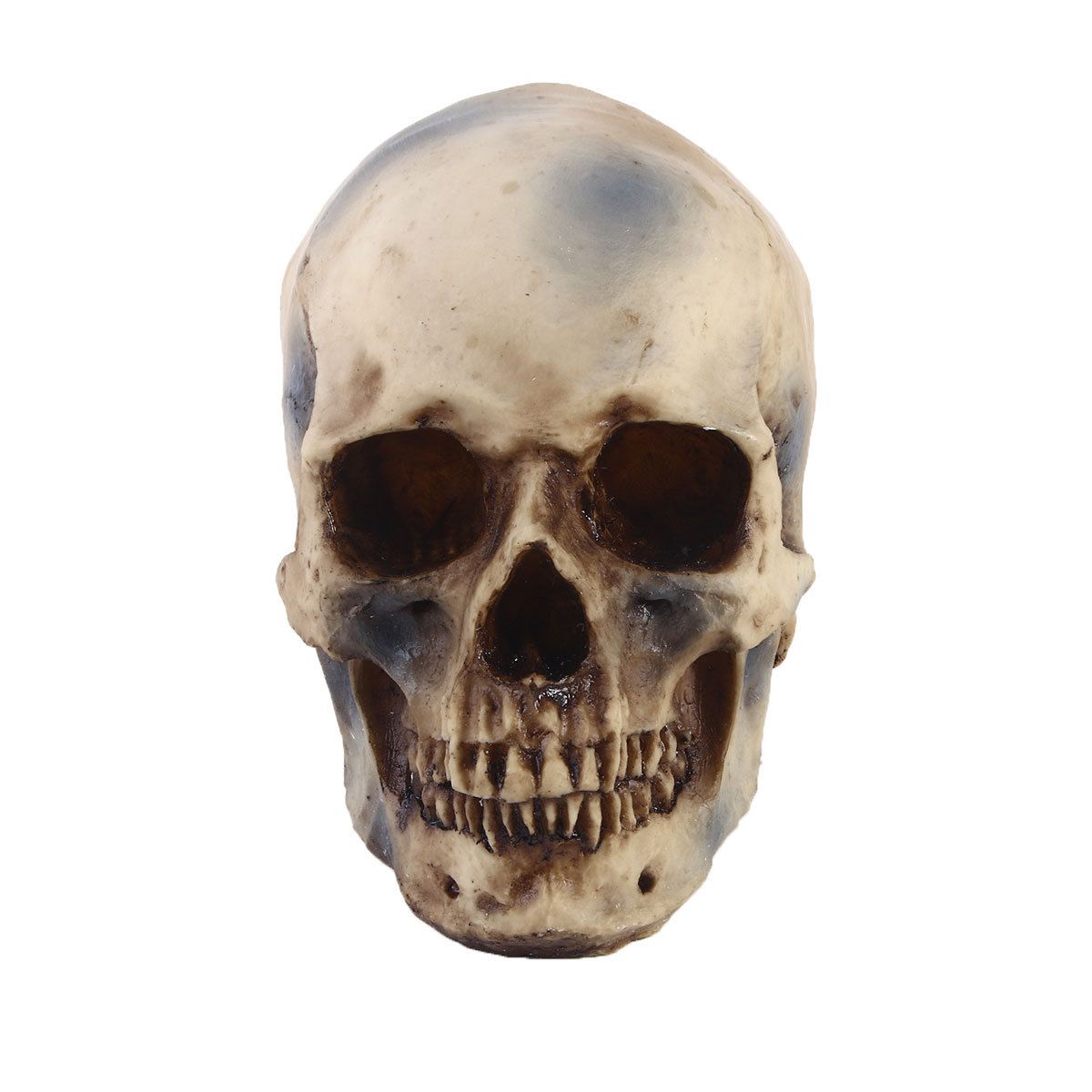 Anatomical Models Statues Sculptures Resin Halloween Home Decor Decorative view 2