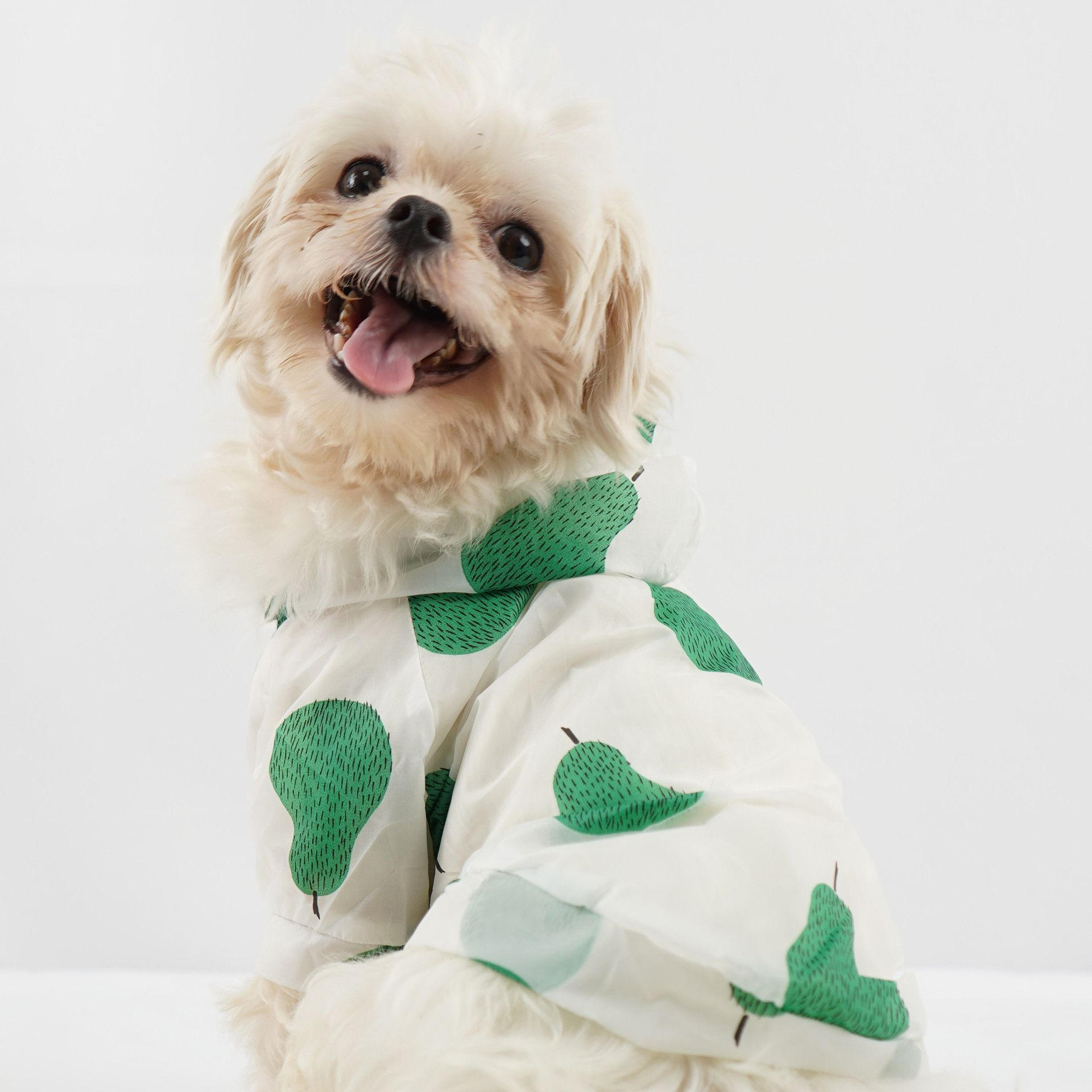 Summer Sun Protection Hoodie Small Dog Clothes Dog Raincoat Sun-Proof Clothing view 3