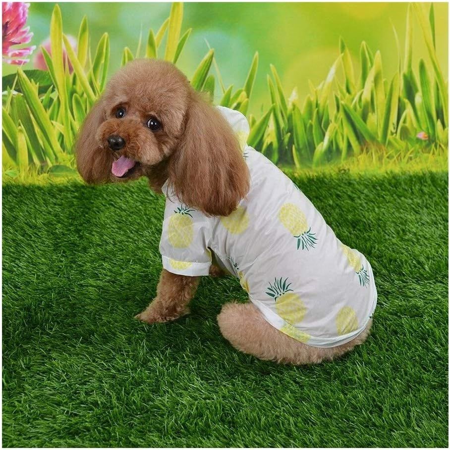 Summer Sun Protection Hoodie Small Dog Clothes Dog Raincoat Sun-Proof Clothing view 5