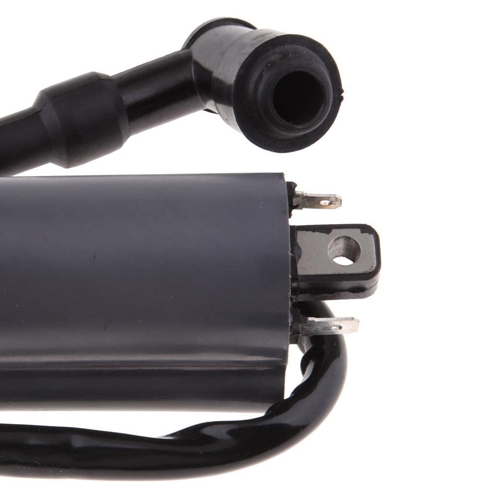 1 Piece New Ignition Coil for 300CC D300 G300 H300 Pit ATV Dirt Quad Bike view 3