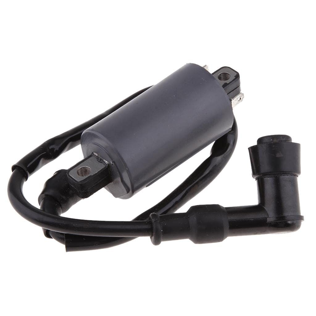 1 Piece New Ignition Coil for 300CC D300 G300 H300 Pit ATV Dirt Quad Bike view 4