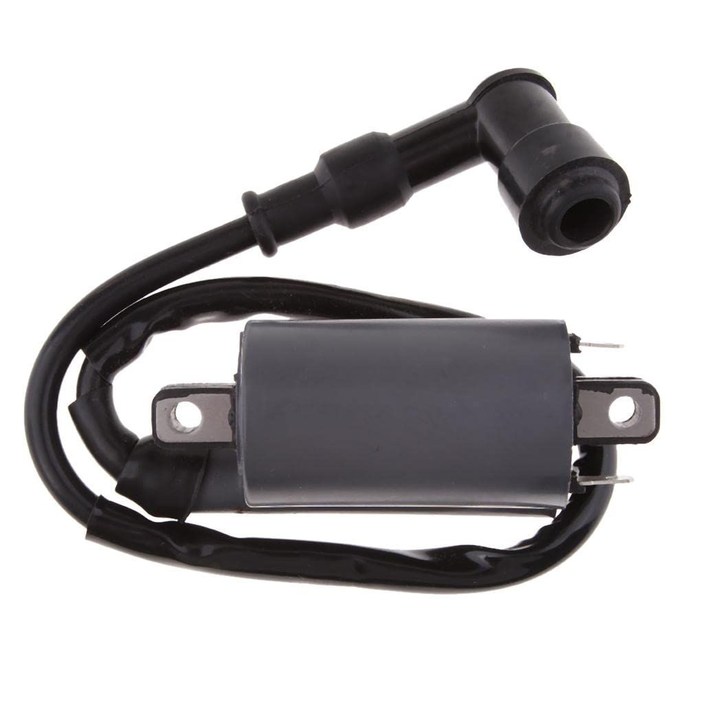 1 Piece New Ignition Coil for 300CC D300 G300 H300 Pit ATV Dirt Quad Bike view 5