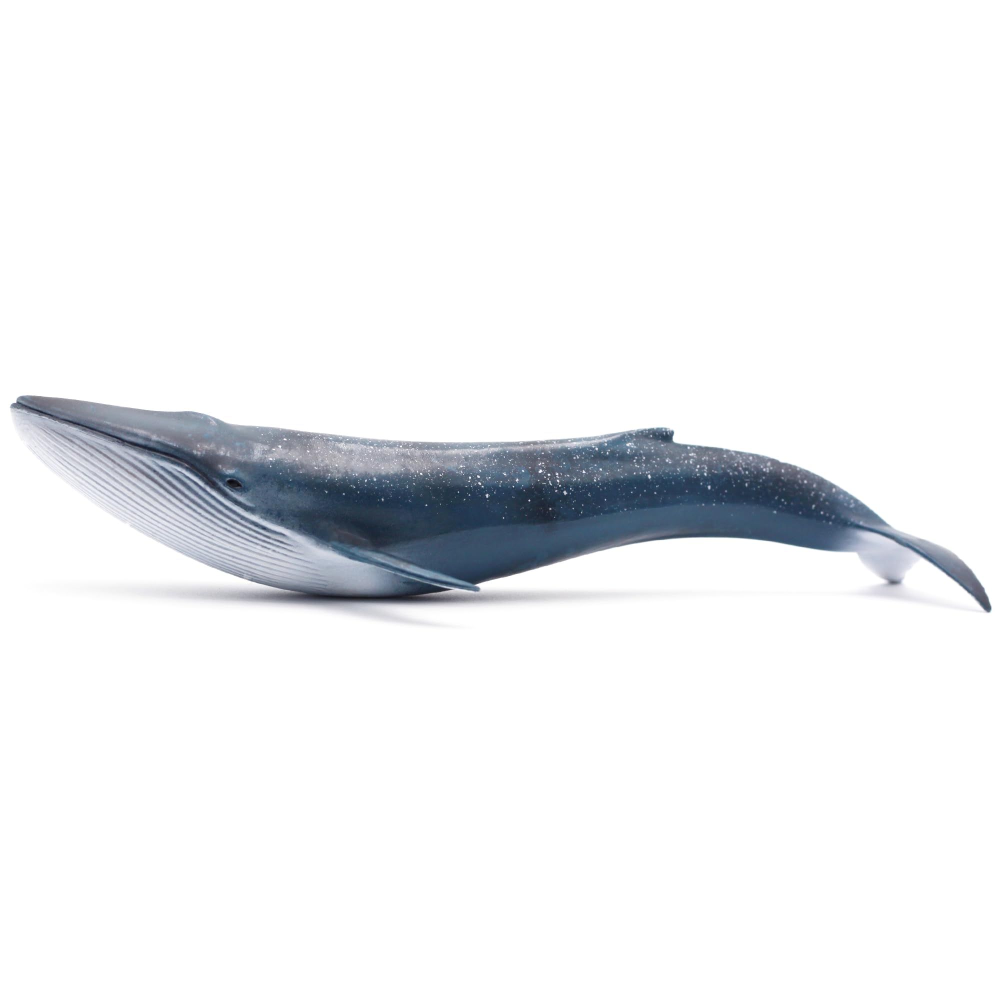 Blue Whale Toy for Kids, Realistic Shark Action Figure Toy, Ocean Blue Whale view 3