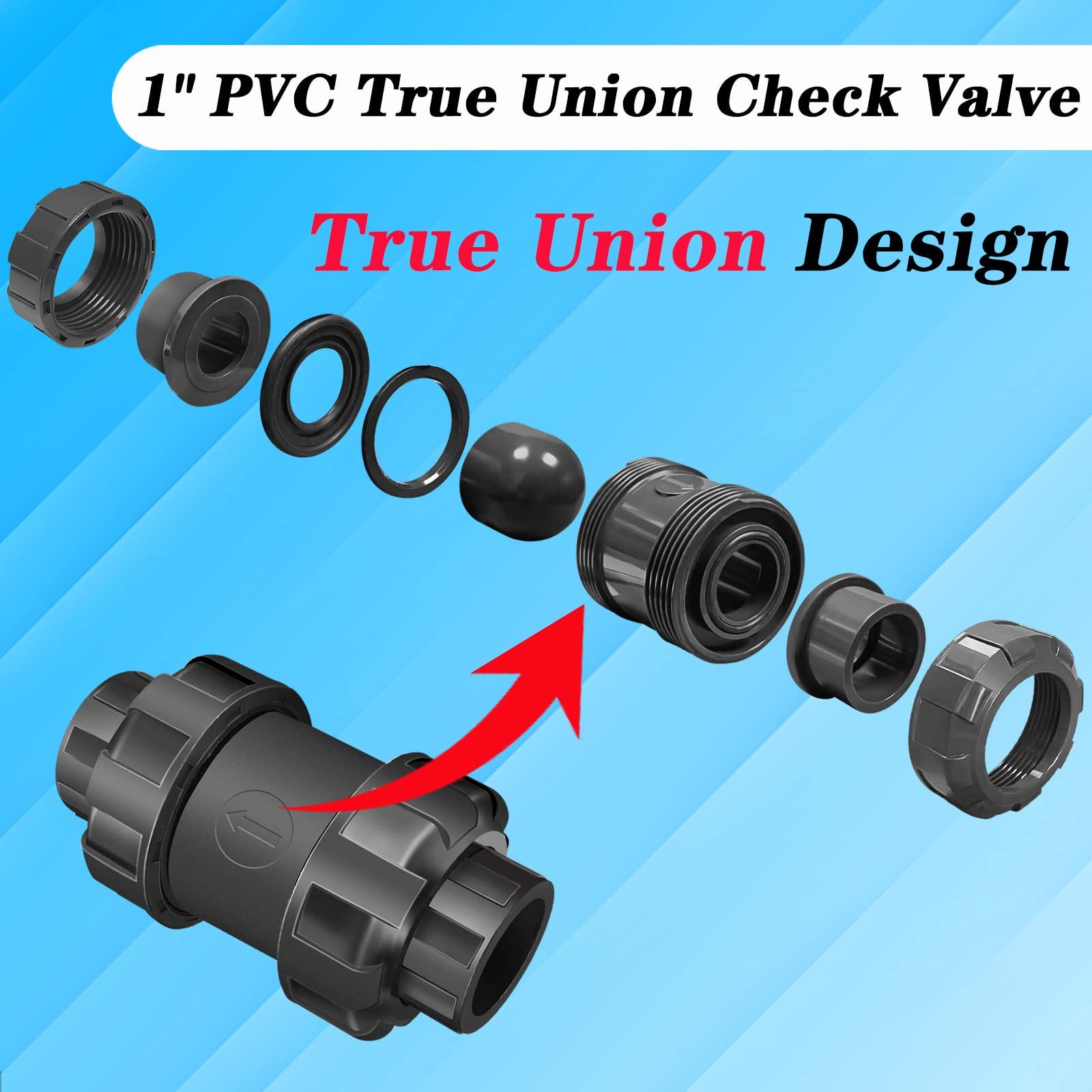 Check Valve Heavy Duty Ball Check Valve view 2