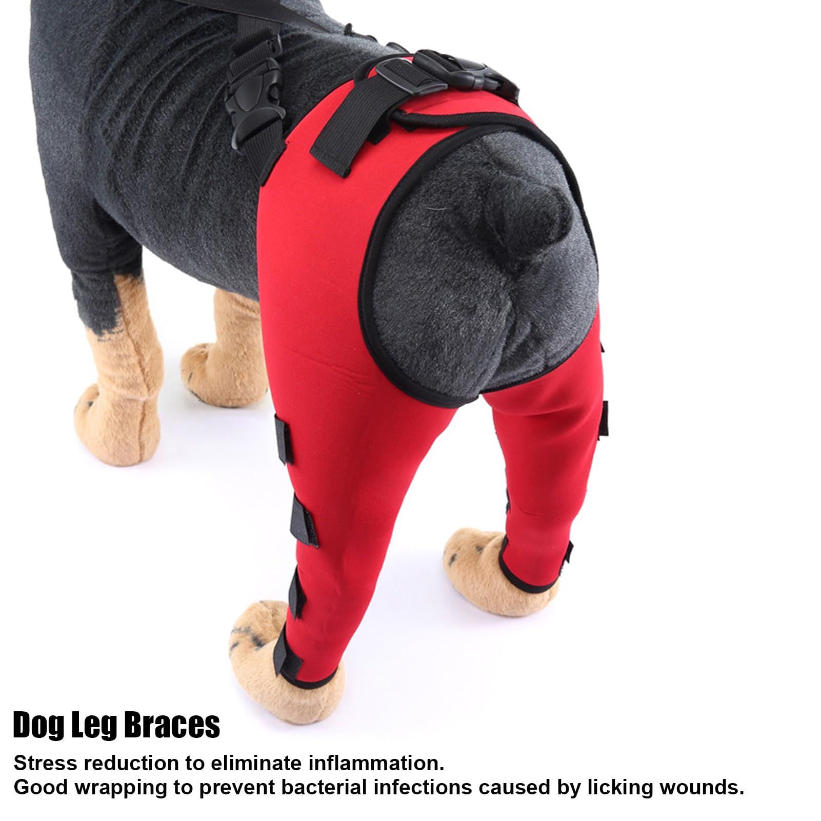 Dog Knee Brace, Leg Brace Ligament Injury Joint Pain and Muscle Sore view 2