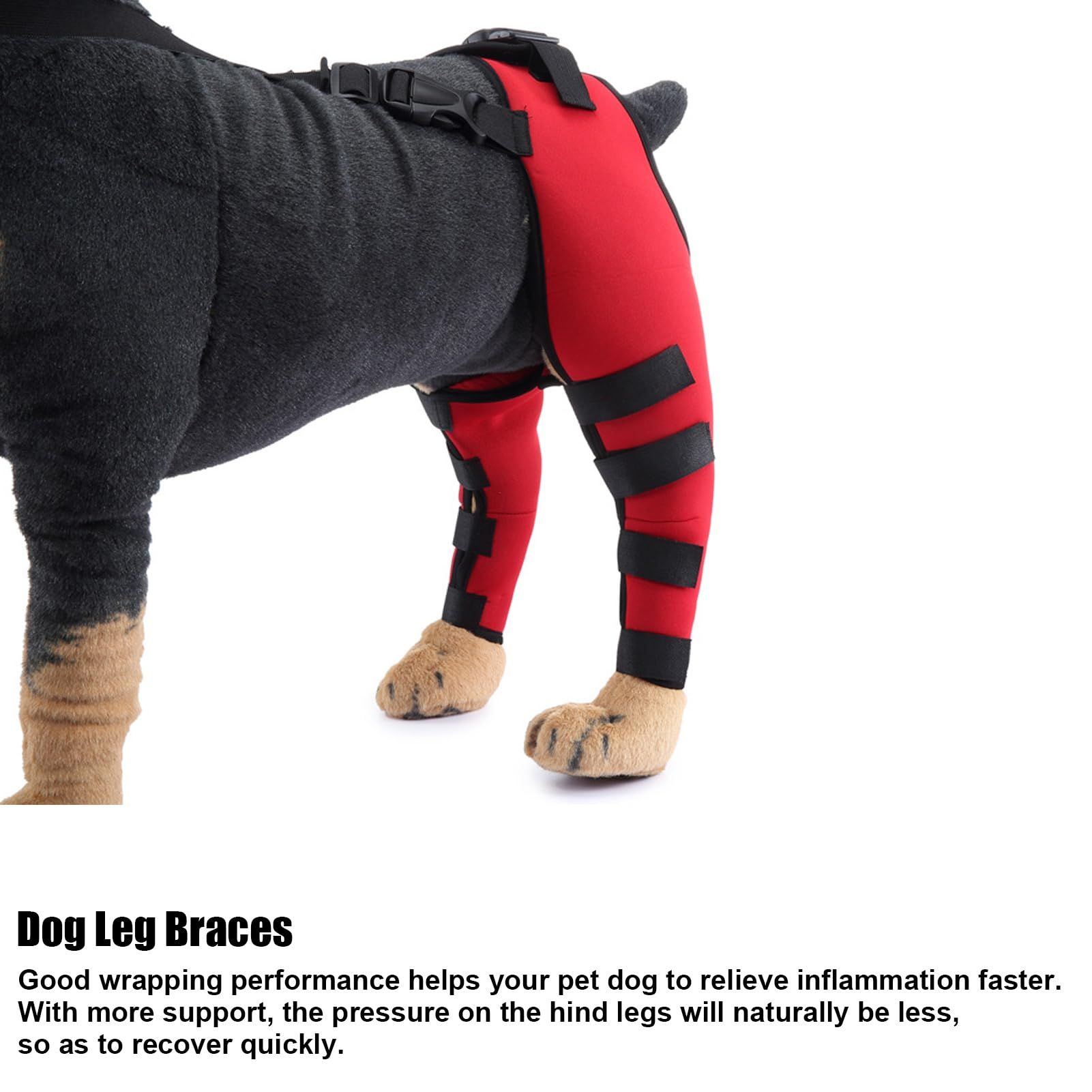 Dog Knee Brace, Leg Brace Ligament Injury Joint Pain and Muscle Sore view 4