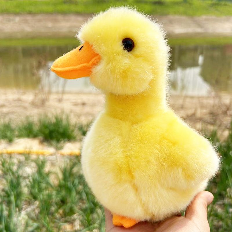Yellow Chick Stuffed Animal Chicken White 17cm view 5