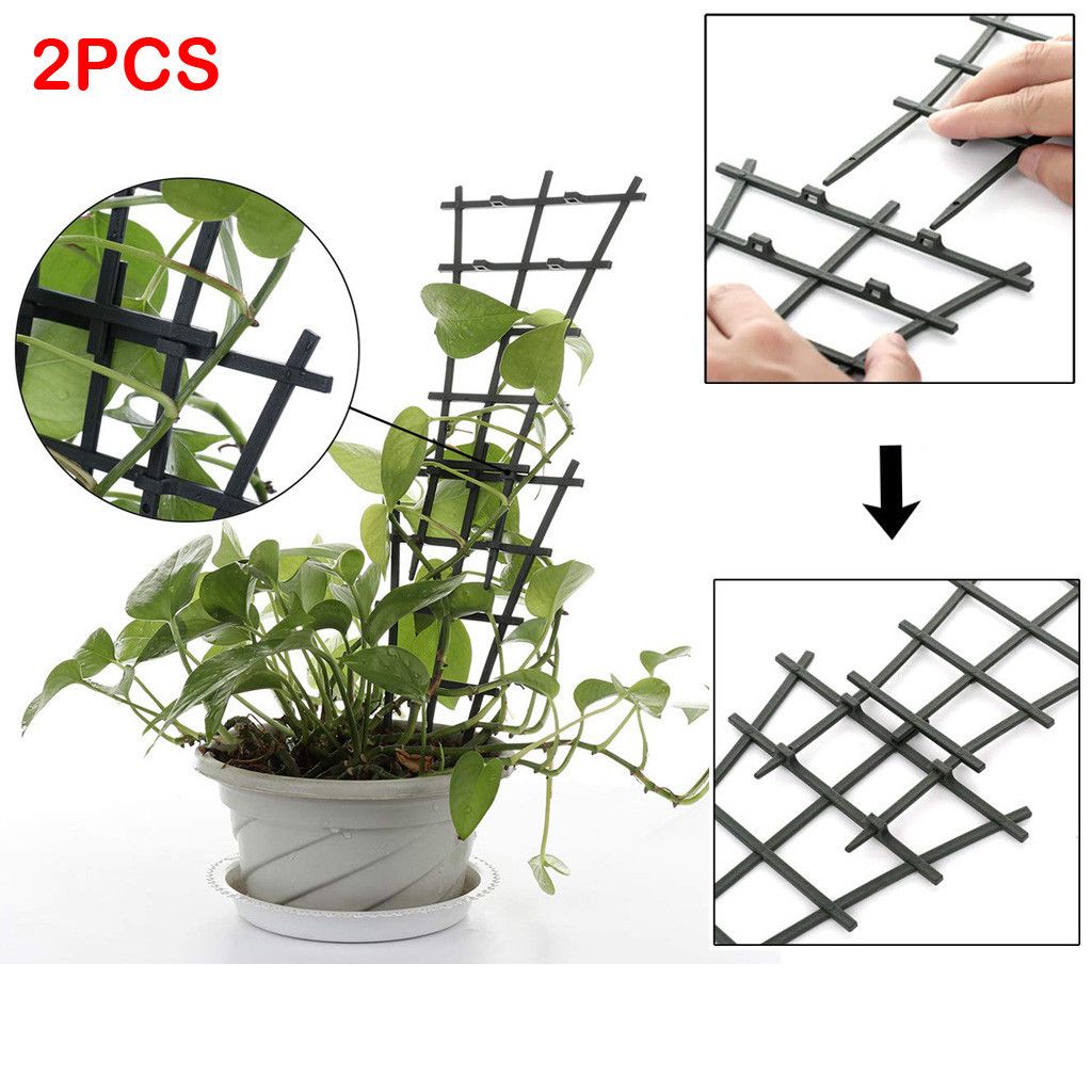 Garden Trellis Plant Support view 2