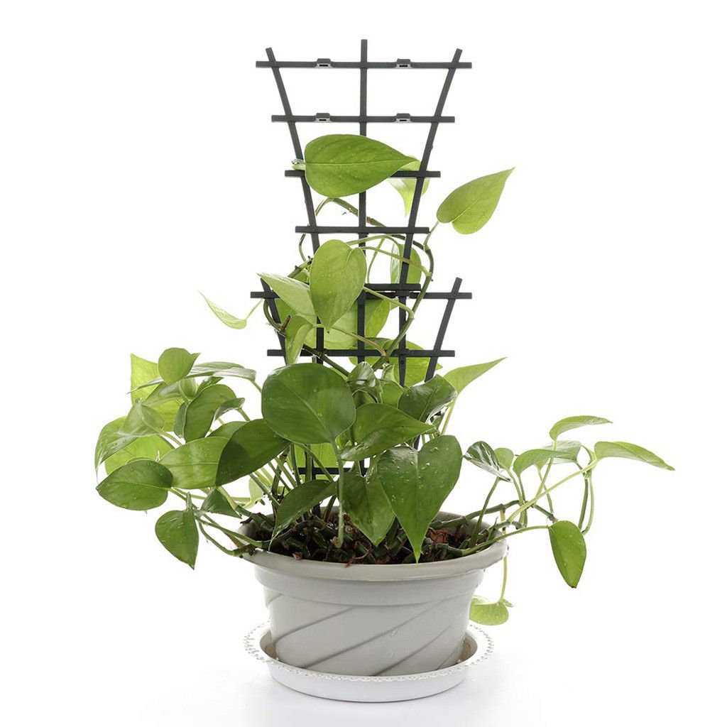 Garden Trellis Plant Support view 5
