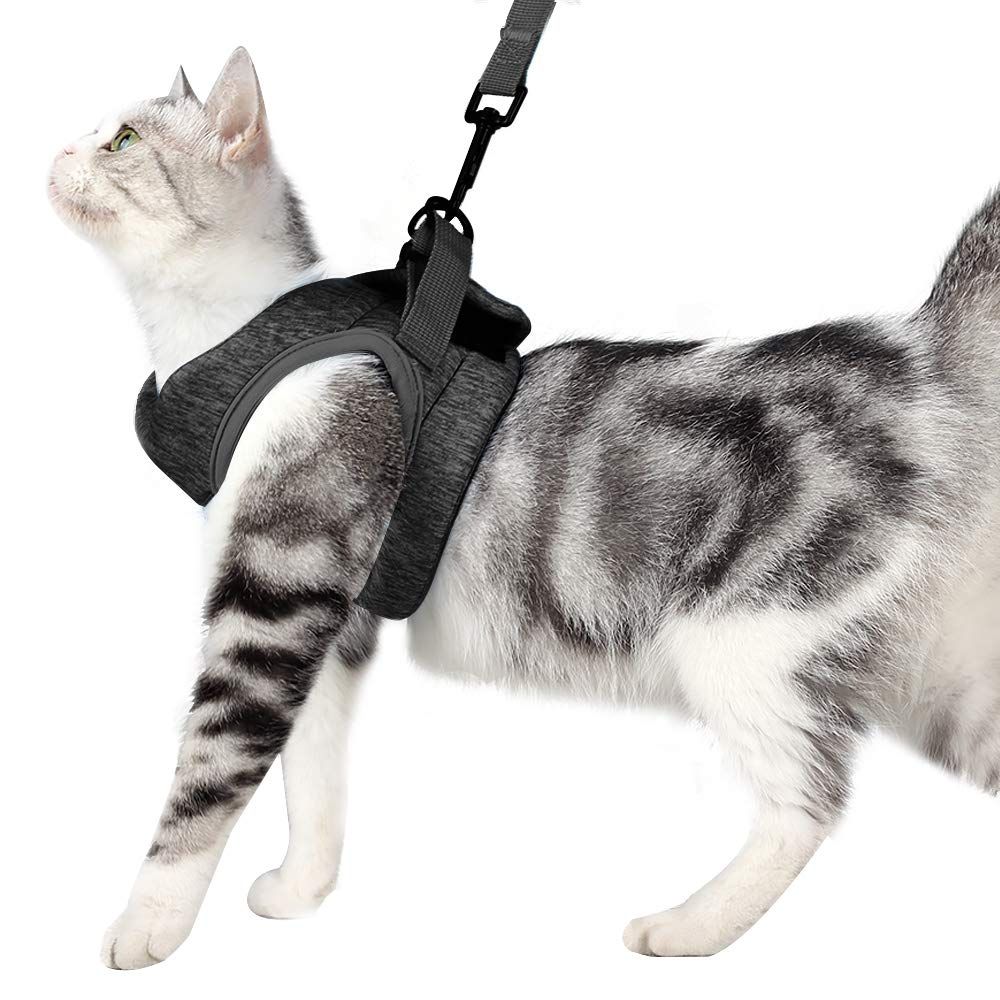 Cat Harness and Leash - Ultra Light Escape Proof Kitten Collar Cat Walking