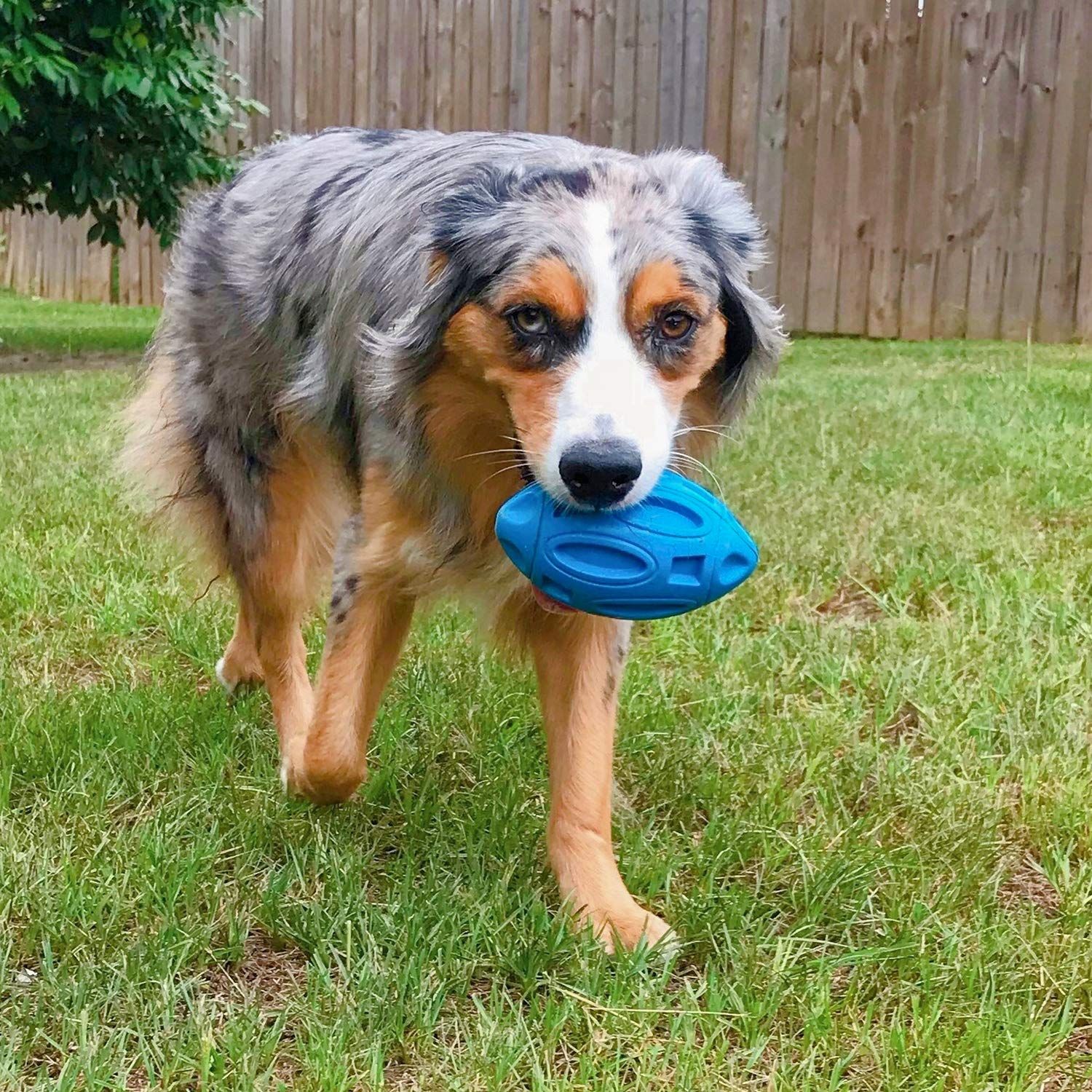 Squeaky Dog Toys for Aggressive Chewers: Rubber Puppy Chew Ball with Squeaker view 5