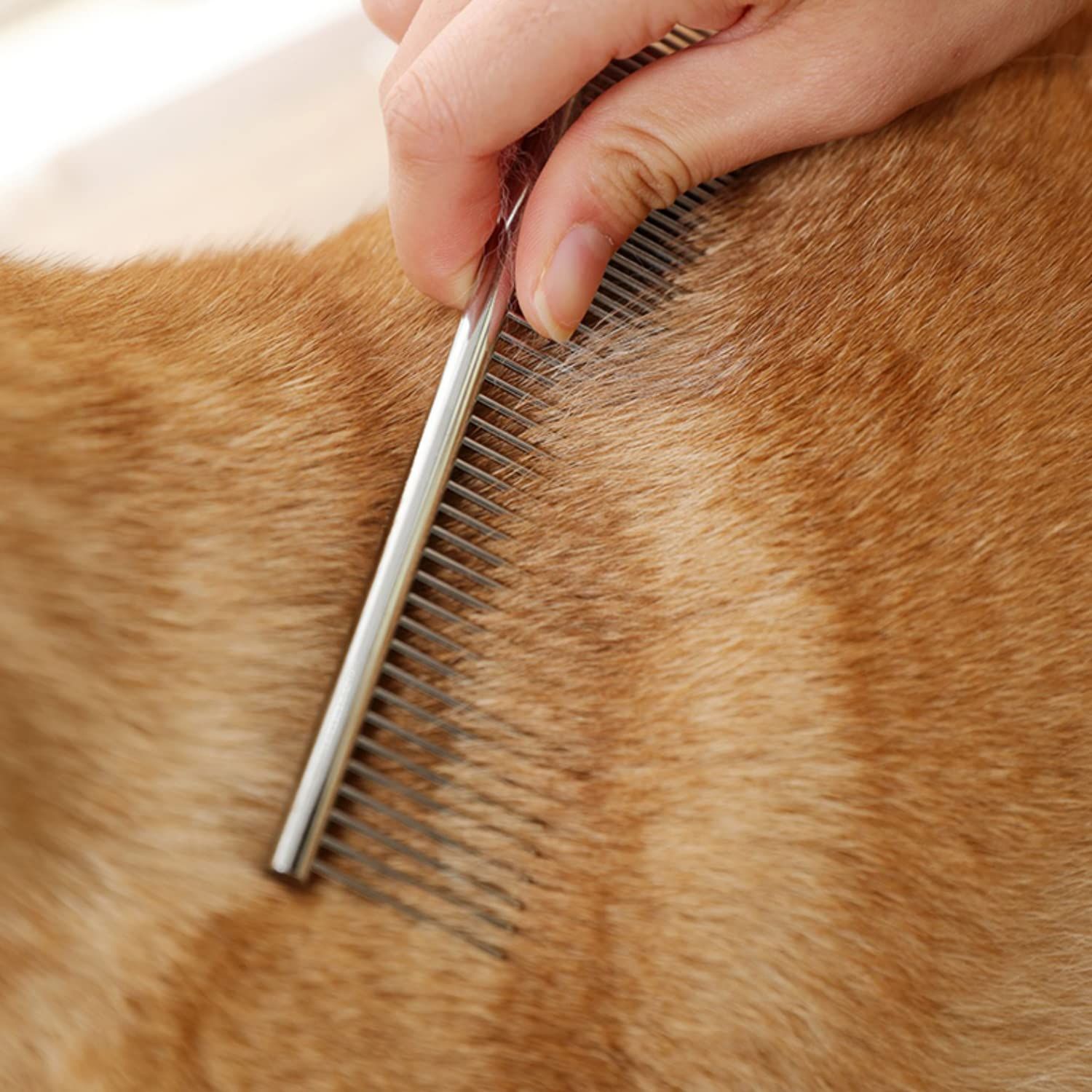 Stainless steel comb, pet comb, beauty comb, dog brush, pet supplies, dog view 3