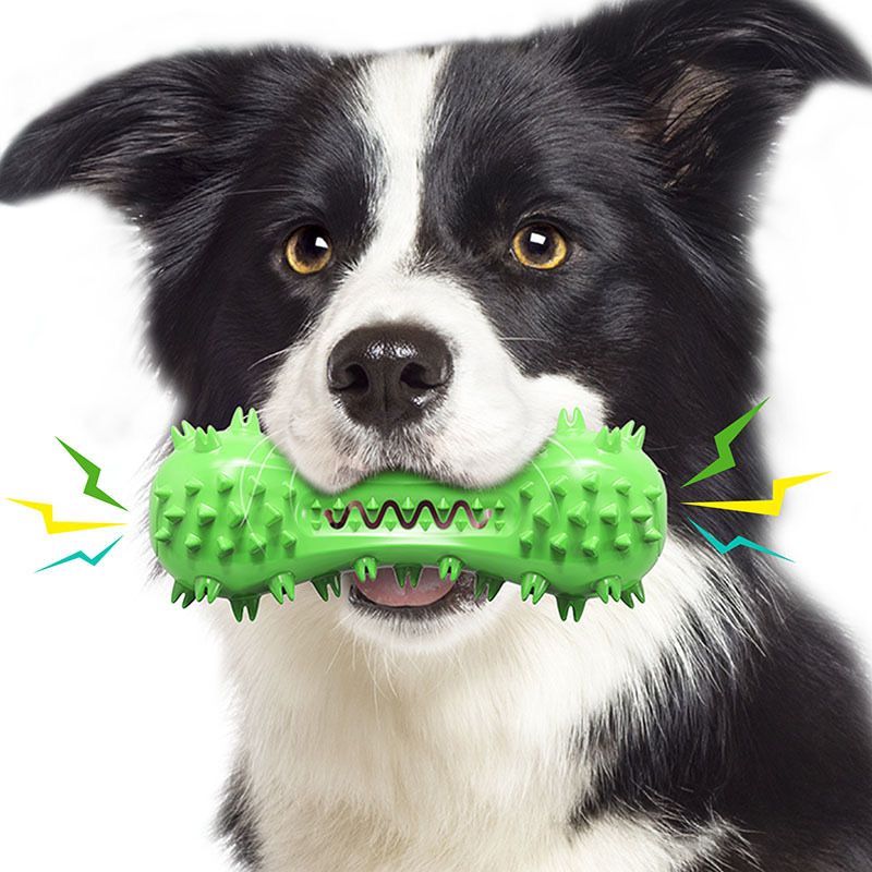 Dog Toy, Toothbrush Dogs Chew Squeaky Toys, Durable Bones for Aggressive