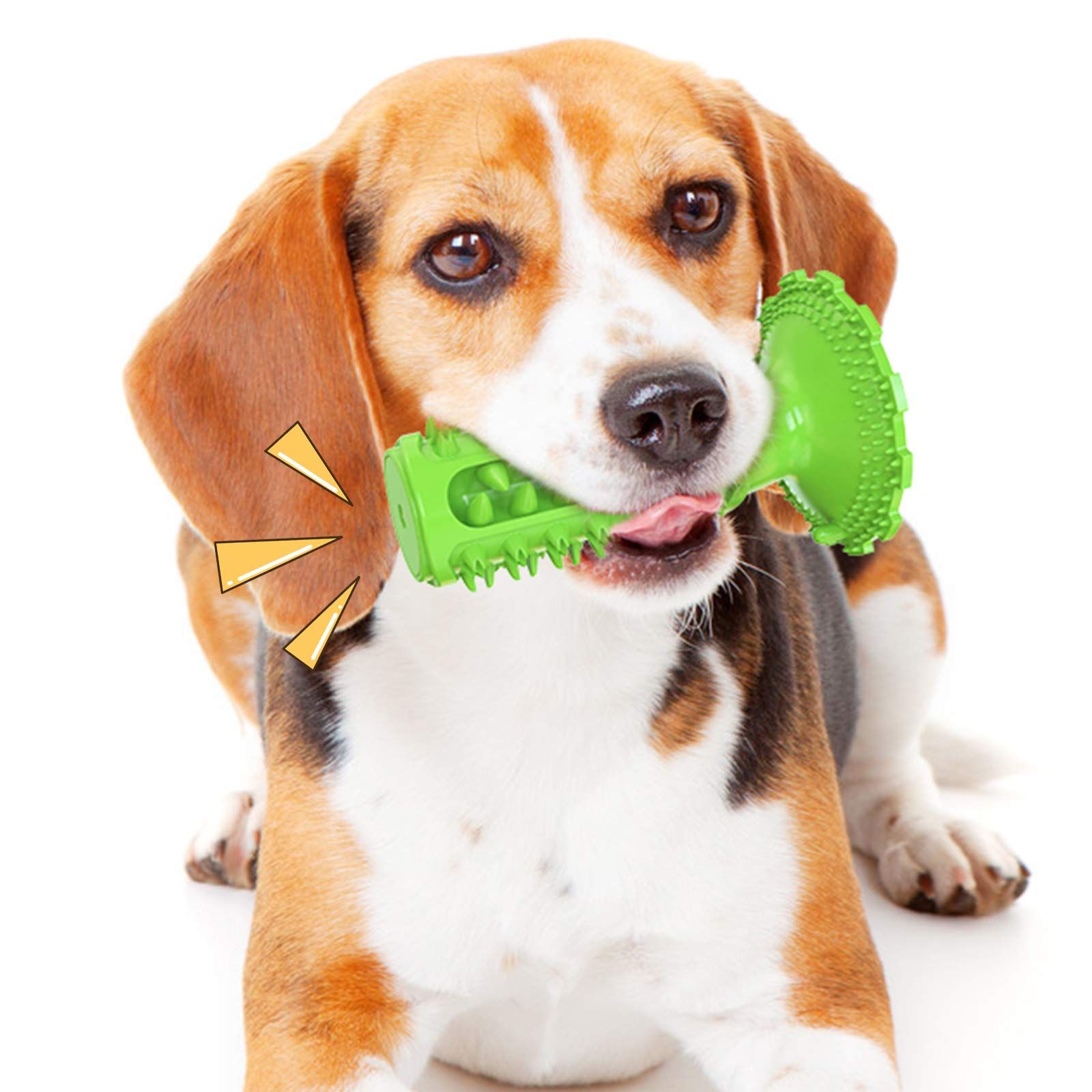 Dog Toy, Toothbrush Dogs Chew Squeaky Toys, Durable Bones for Aggressive view 3