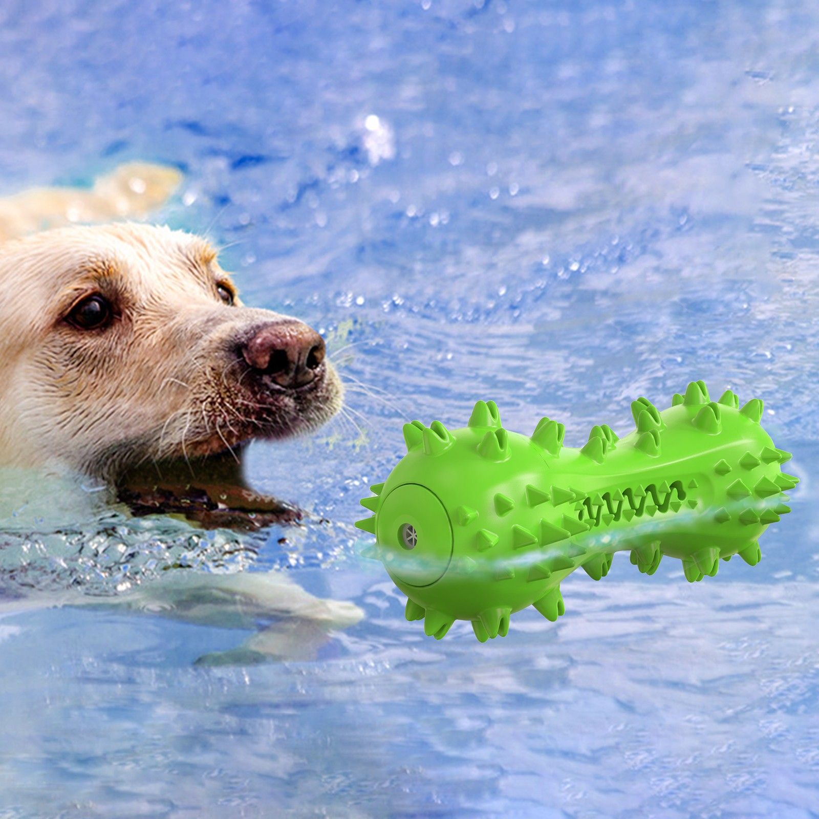 Dog Toy, Toothbrush Dogs Chew Squeaky Toys, Durable Bones for Aggressive view 4