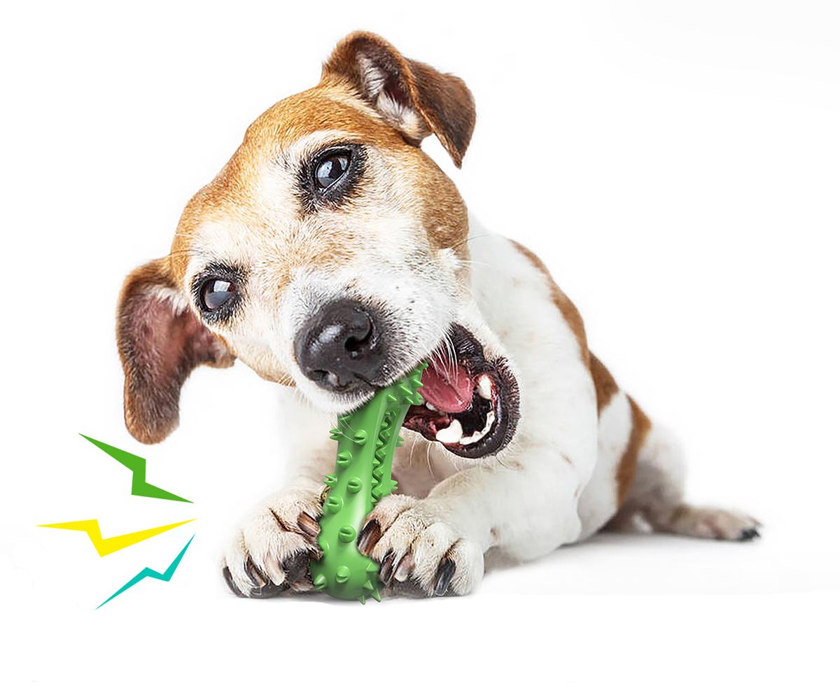 Dog Toy, Toothbrush Dogs Chew Squeaky Toys, Durable Bones for Aggressive view 5