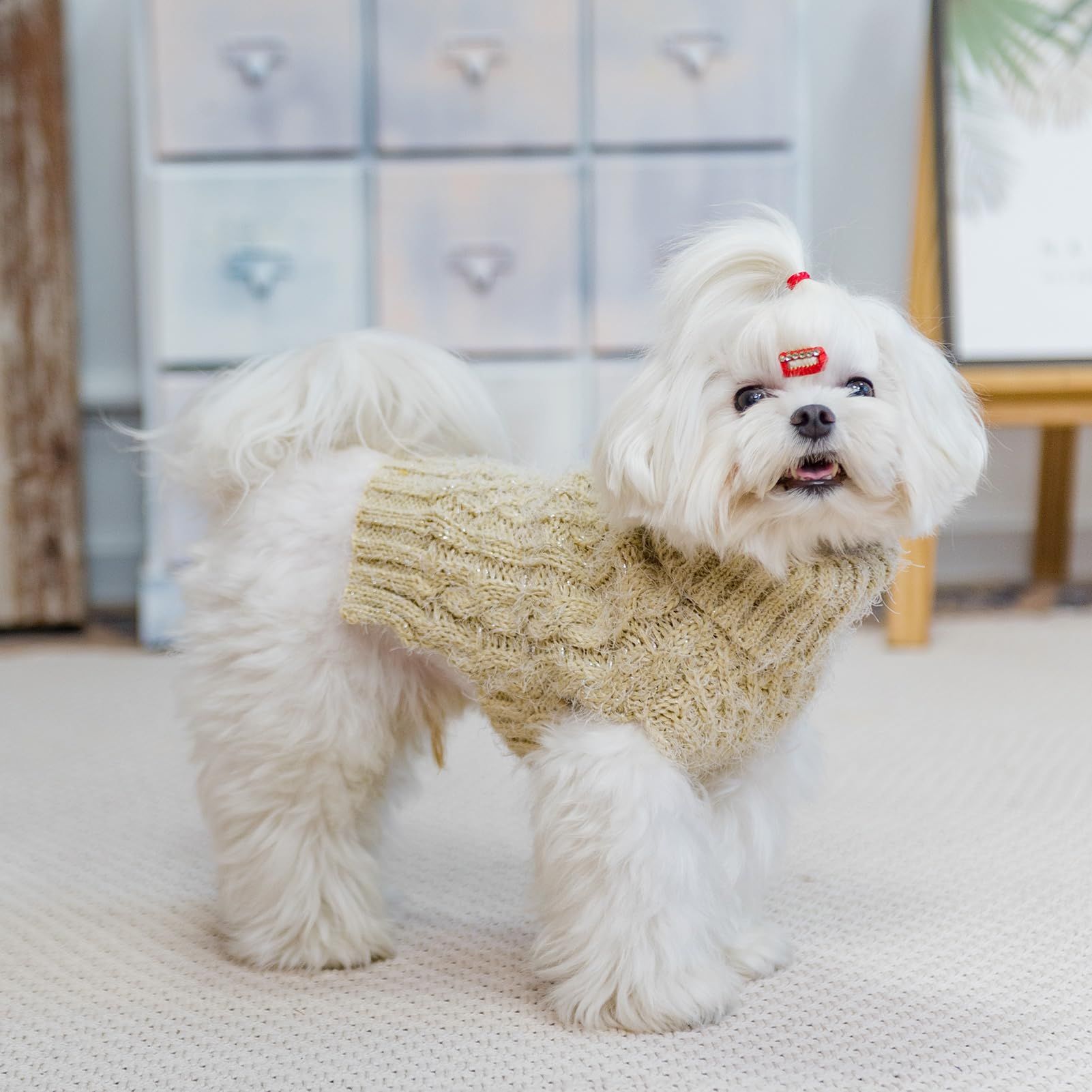 Small Dog Sweater - Classic Cable Knit Winter Coat Dog ColdyThe sweet knit view 5