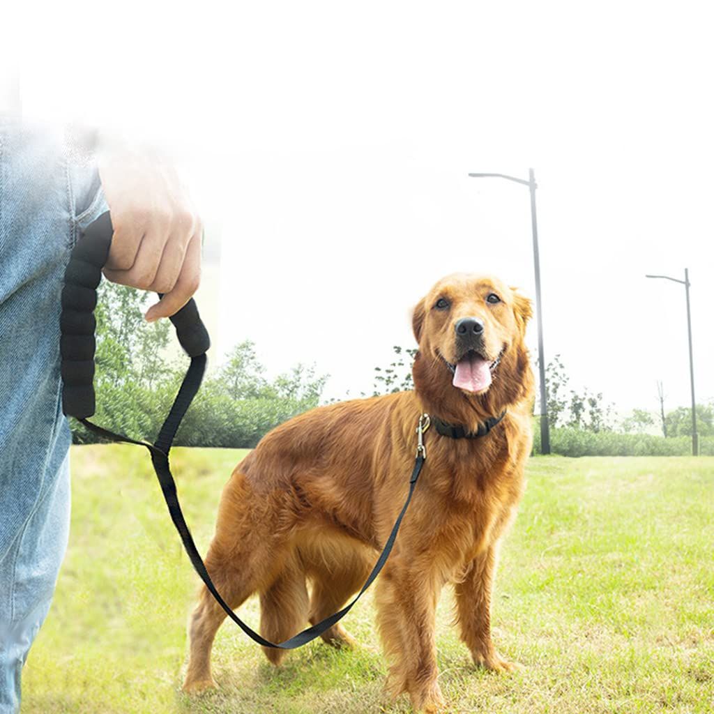 4.9FT Long Dog Leash with Comfortable Padded Handle Nylon Training Lead Heavy view 2