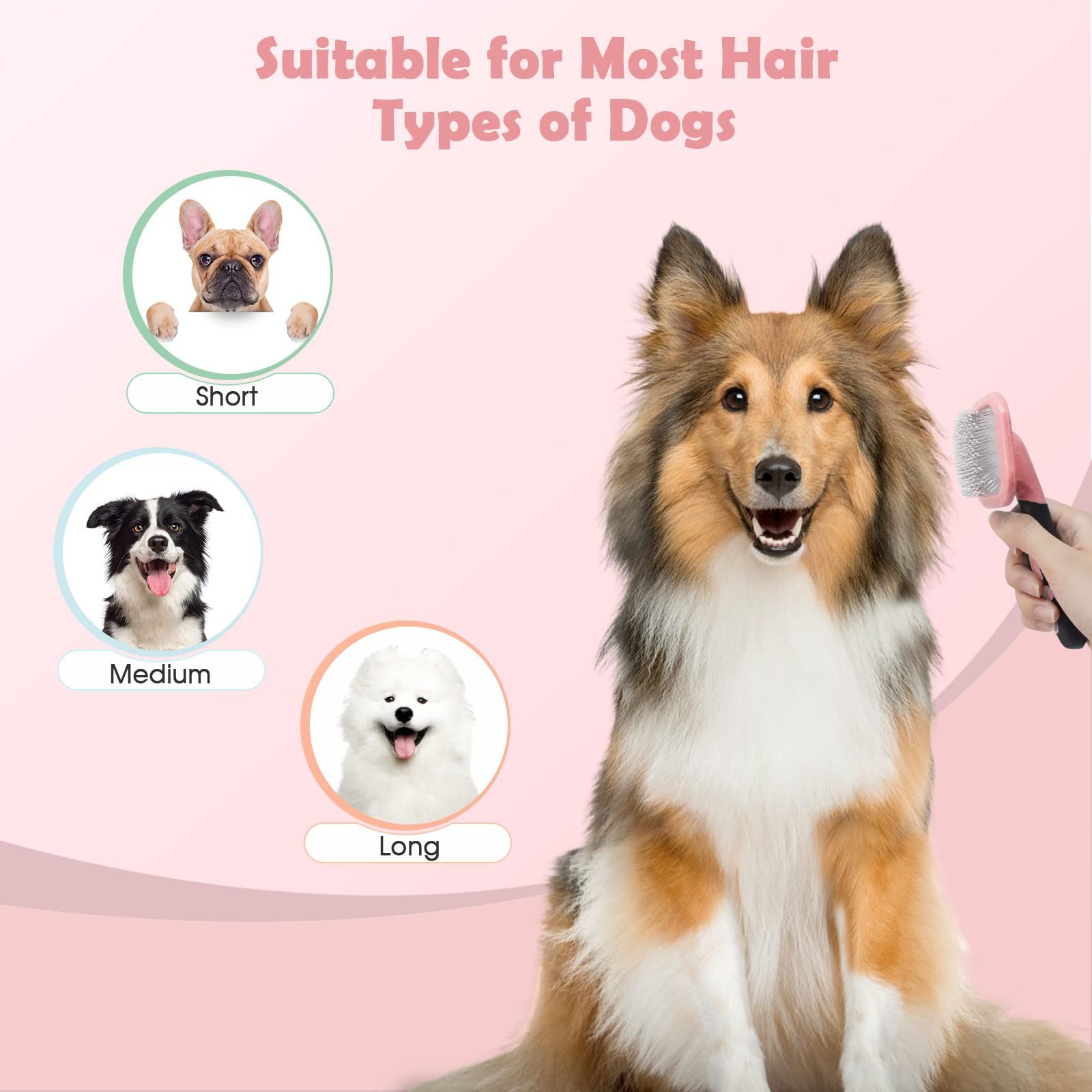 1 PCS Dog Brush & Cat Brush- Pet Grooming Brush- Shedding Grooming Tools Dog view 4