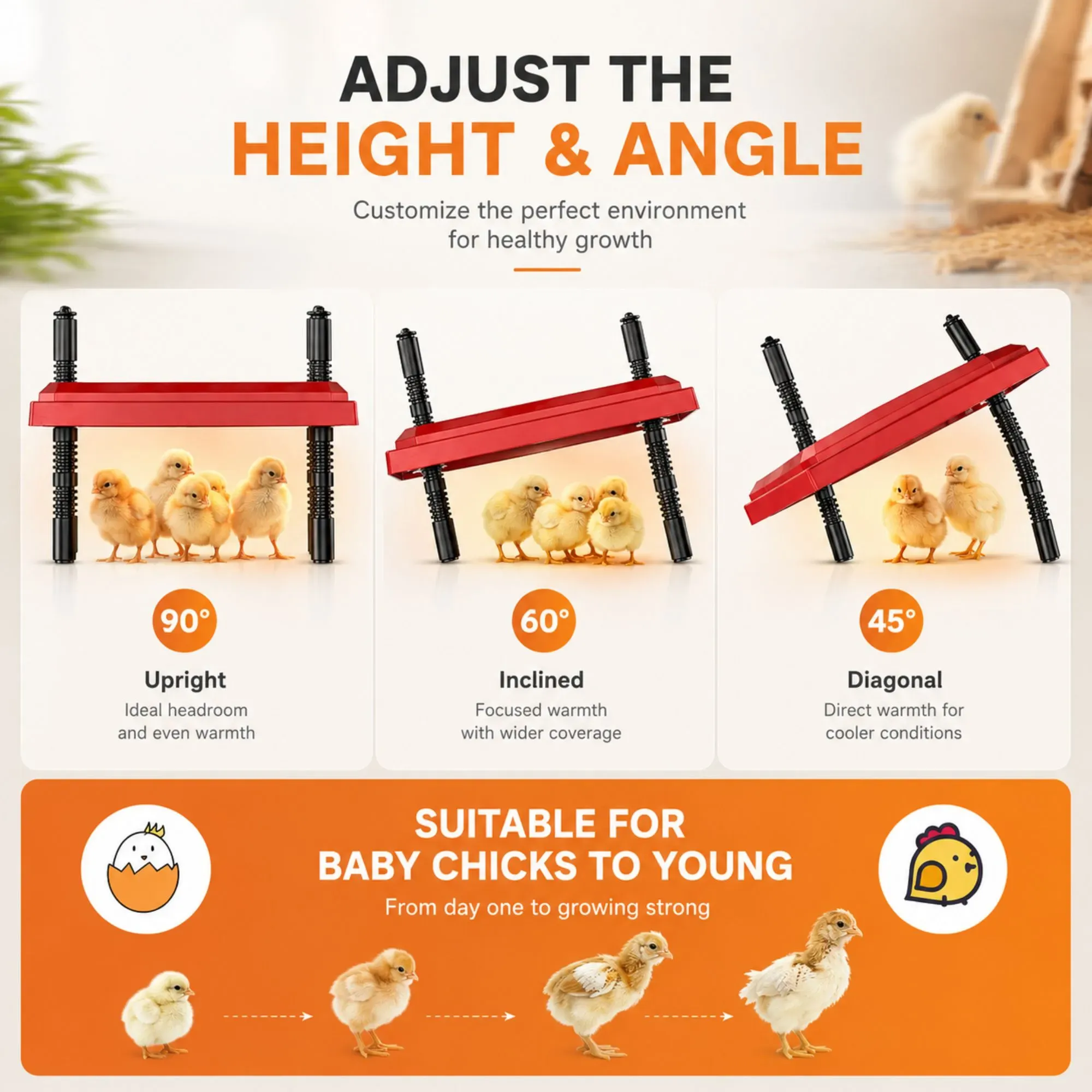 CARLA HOME Chick Brooder Heating Plate - Adjustable Height - Red - Chicken Heater view 4