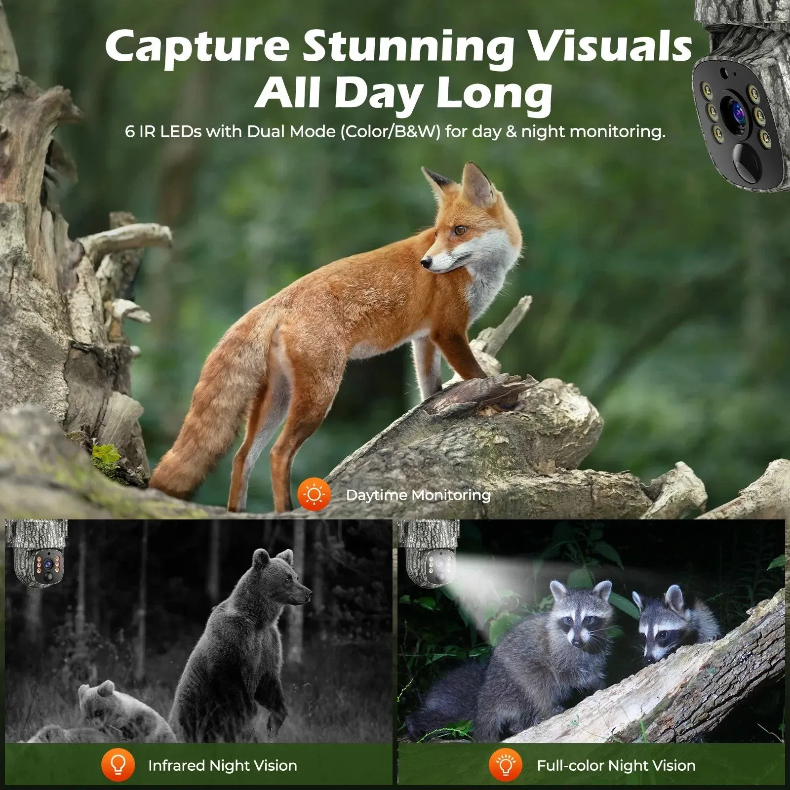 4G Solar Trail Camera in Black with 2.5K Resolution and Live Monitoring view 9