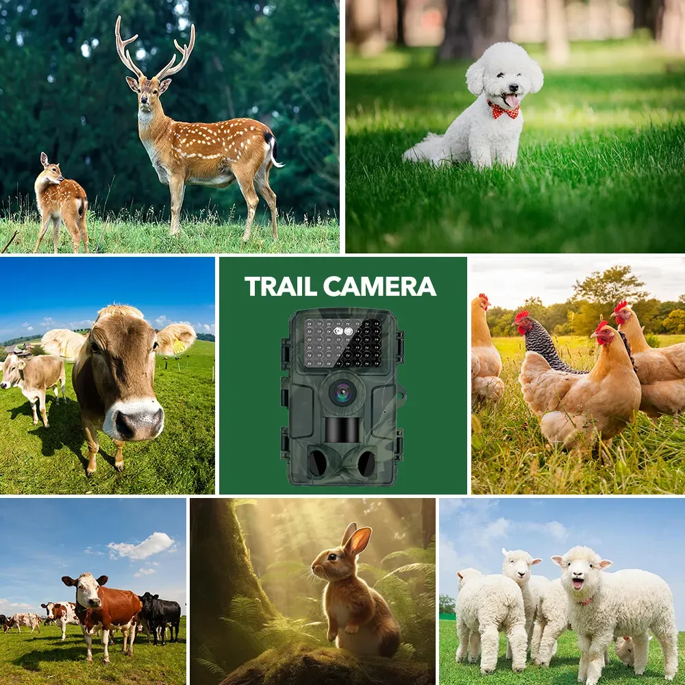 60MP 4K Green Trail Hunting Camera with WIFI Night Vision and IP66 Waterproof view 7