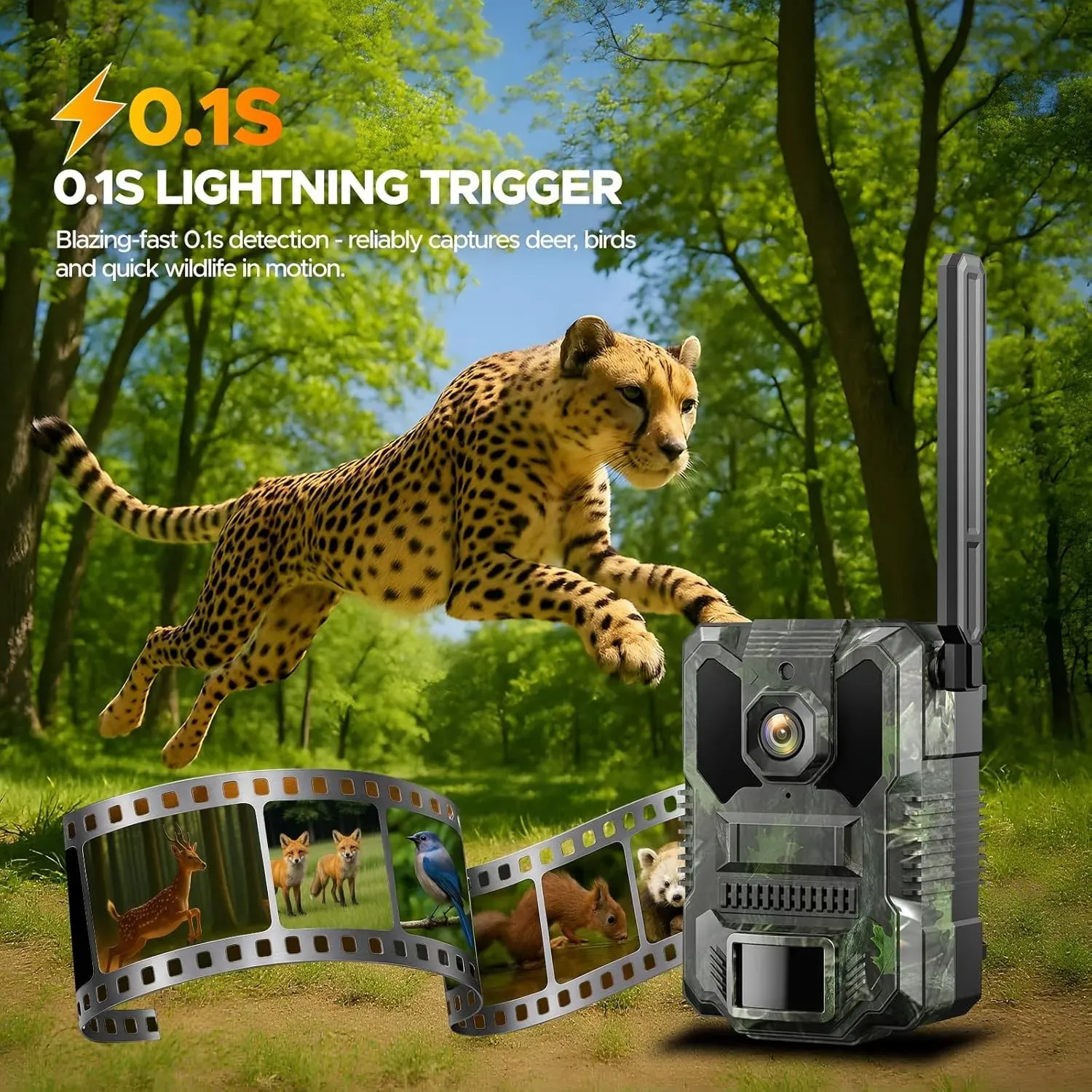 32MP Solar Trail Camera with 2.5K Video and 940NM No Glow Night Vision view 5