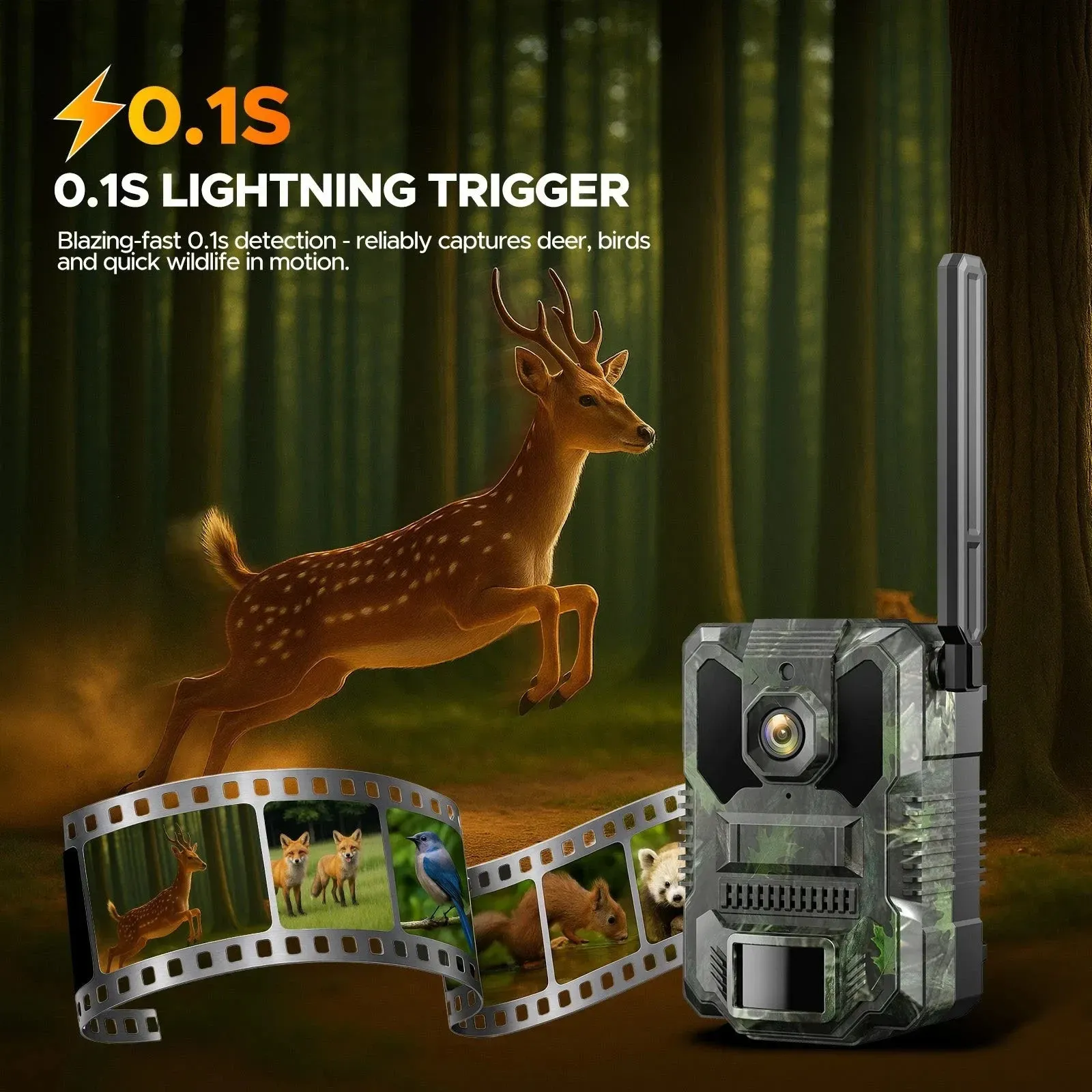 32MP Solar Trail Camera with 2.5K Video and 940NM No Glow Night Vision view 10