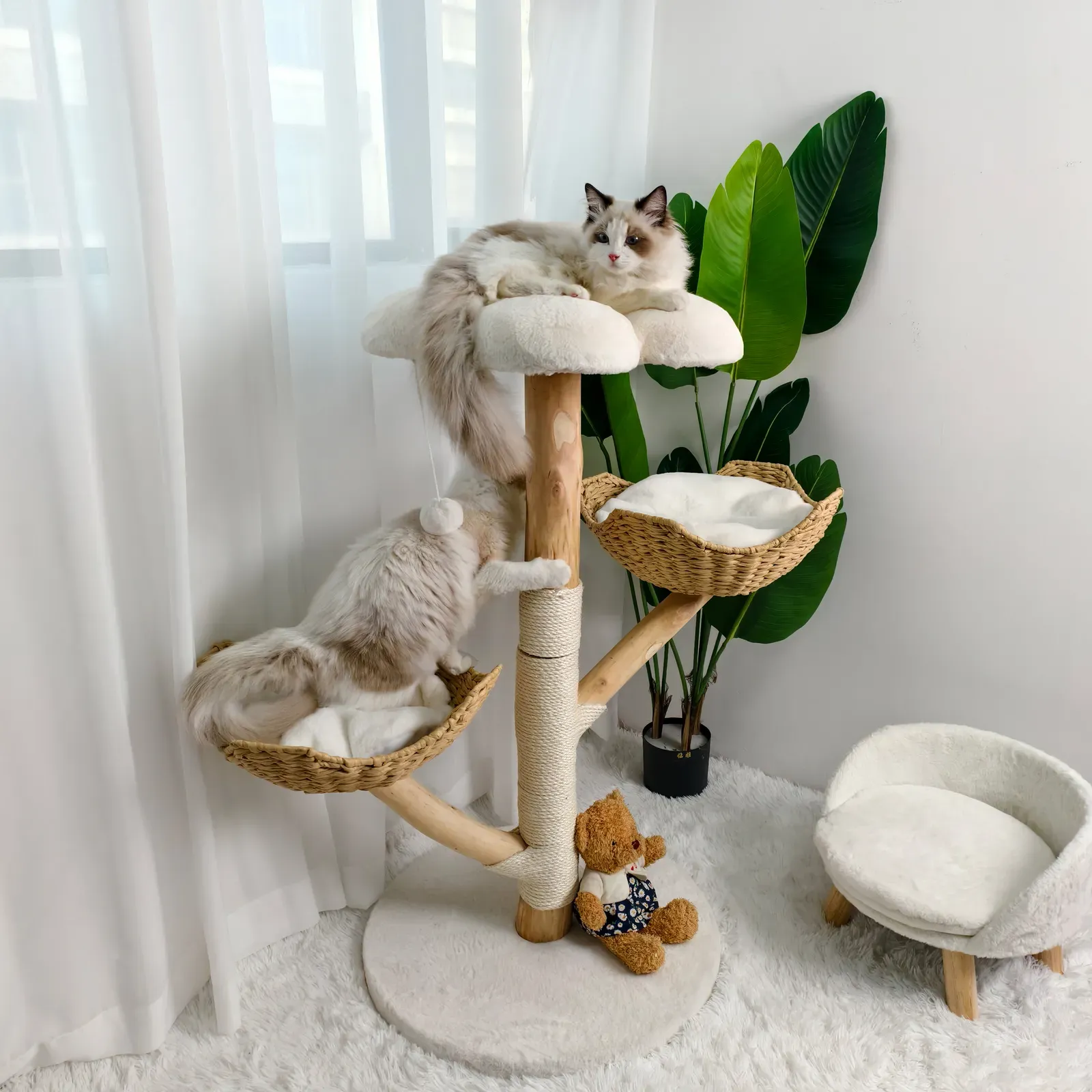 Real Wood Cat Tree Tower in Natural Wood for Indoor Cats Up to 10KG, 60x111cm view 2