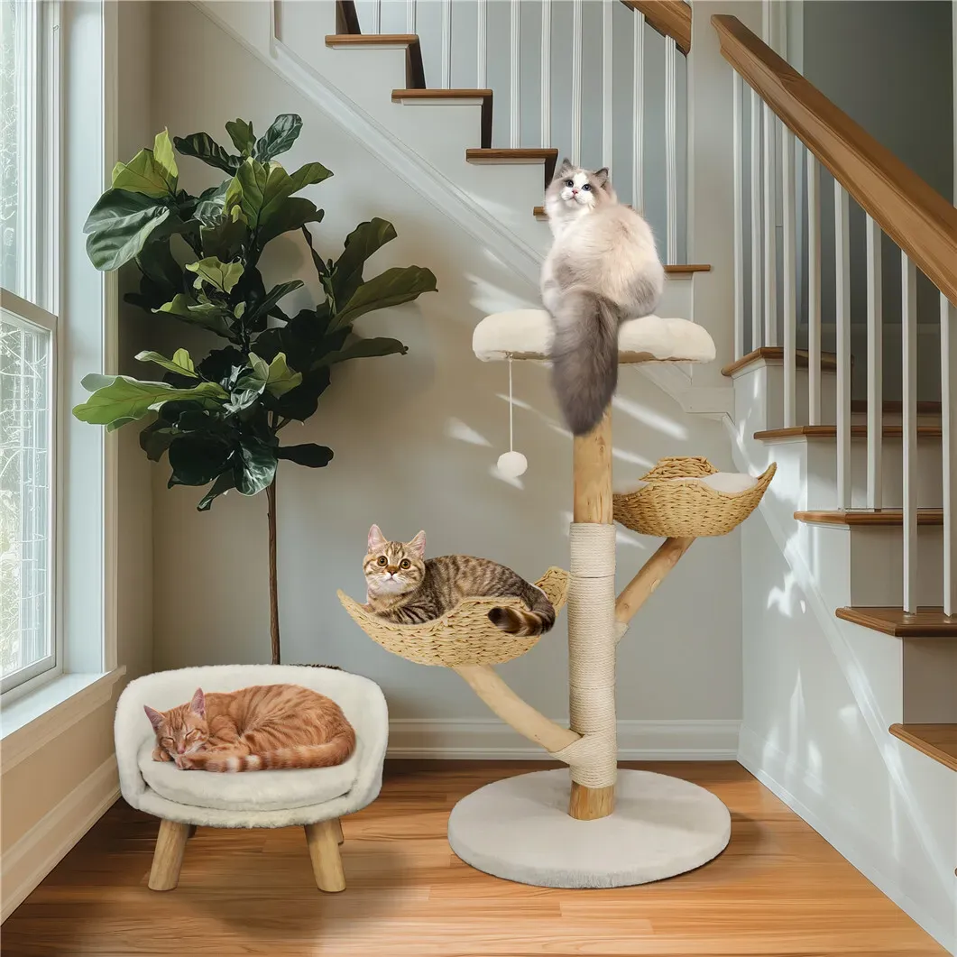 Real Wood Cat Tree Tower in Natural Wood for Indoor Cats Up to 10KG, 60x111cm view 7