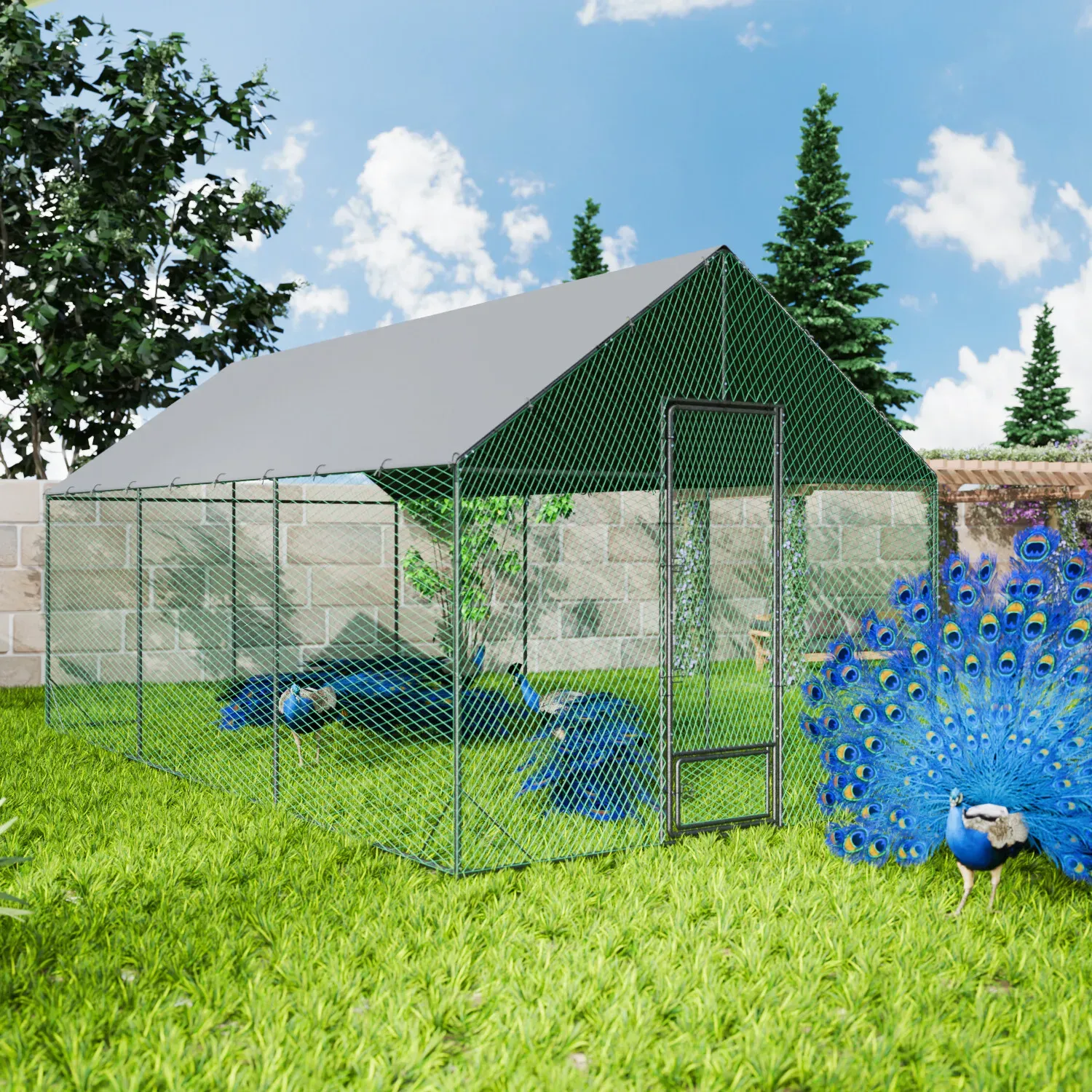 Heavy Duty XL Metal Walk-In Chicken Run with Cover, 276x405x300cm, Black view 10