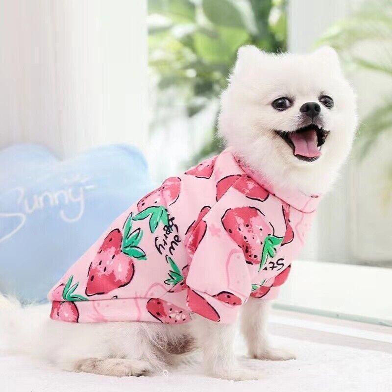 M Size Cute Pet Dog Warm Jumper Sweater Clothes Cat Knitwear Knitted Coats view 12