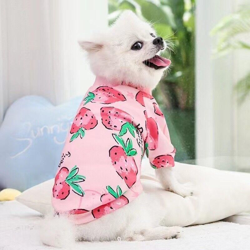 XL Size Cute Pet Dog Warm Jumper Sweater Clothes Cat Knitwear Knitted Coats view 7