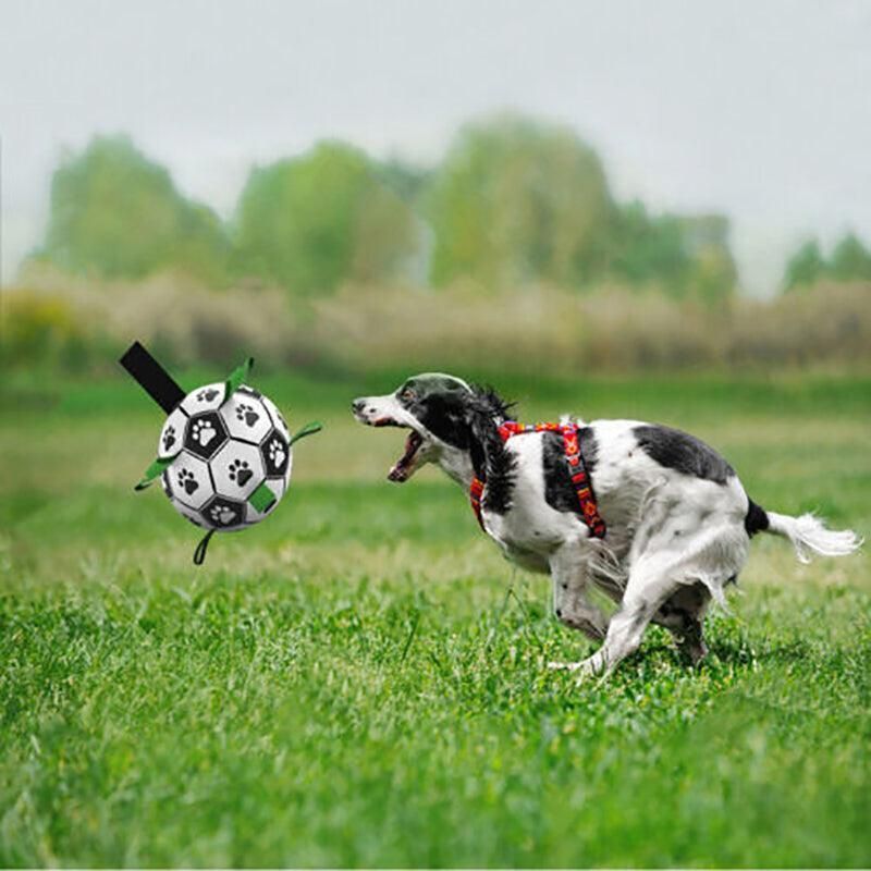 Interactive Pet Football Dog Toys Grab Tabs Outdoor Training Soccer Chew Balls view 3